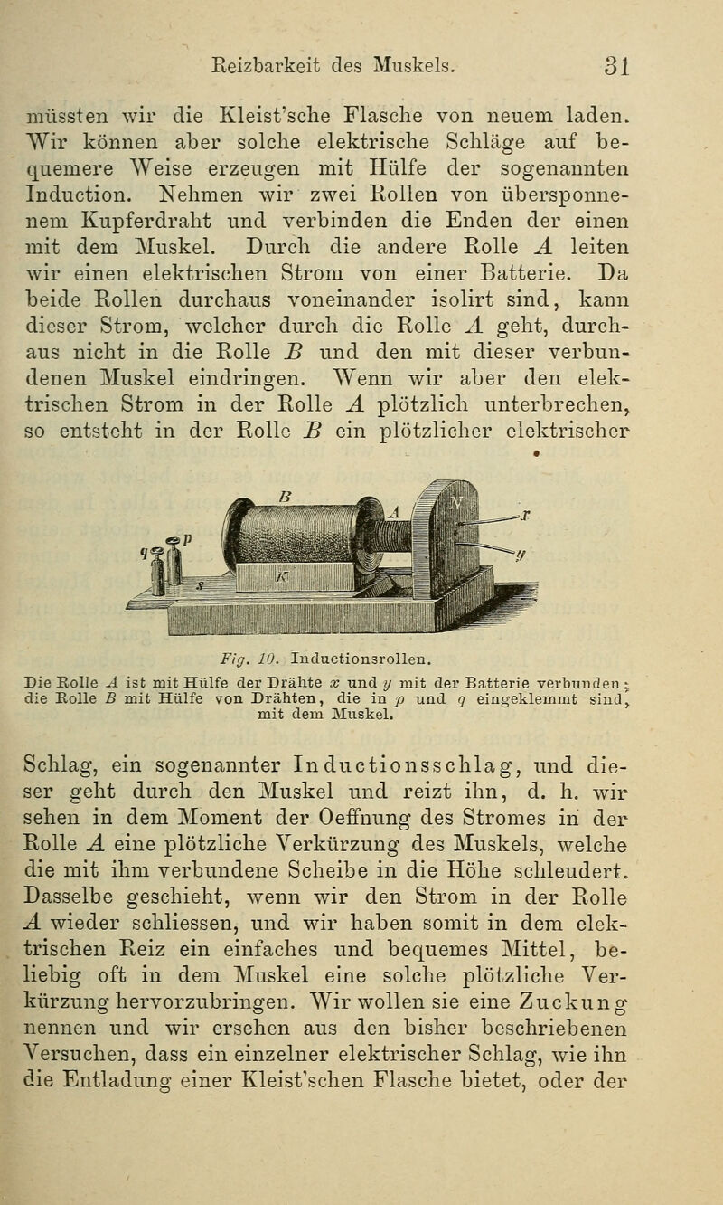 müssten wir die Kleist'sclie Flasche von neuem laden. Wir können aber solche elektrische Schläge auf be- quemere Weise erzeugen mit Hülfe der sogenannten Induction. Nehmen wir zwei Rollen von übersponne- nem Kupferdraht und verbinden die Enden der einen mit dem Muskel. Durch die andere Rolle A leiten wir einen elektrischen Strom von einer Batterie. Da beide Rollen durchaus voneinander isolirt sind, kann dieser Strom, welcher durch die Rolle A geht, durch- aus nicht in die Rolle B und den mit dieser verbun- denen Muskel eindringen. Wenn wir aber den elek- trischen Strom in der Rolle A plötzlich unterbrechen, so entsteht in der Rolle B ein plötzlicher elektrischer Fig. 10. Inductionsrollen. Die Rolle A ist mit Hülfe der Drähte x und y mit der Batterie verbunden ; die Rolle B mit Hülfe von Drähten, die in p und q eingeklemmt sind,. mit dem Muskel. Schlag, ein sogenannter Inductionsschlag, und die- ser geht durch den Muskel und reizt ihn, d. h. wir sehen in dem Moment der Oeffnung des Stromes in der Rolle A eine plötzliche Verkürzung des Muskels, welche die mit ihm verbundene Scheibe in die Höhe schleudert. Dasselbe geschieht, wenn wir den Strom in der Rolle A wieder schliessen, und wir haben somit in dem elek- trischen Reiz ein einfaches und bequemes Mittel, be- liebig oft in dem Muskel eine solche plötzliche Ver- kürzung hervorzubringen. Wir wollen sie eine Zuckung nennen und wir ersehen aus den bisher beschriebenen Versuchen, dass ein einzelner elektrischer Schlag, wie ihn die Entladung einer Kleist'schen Flasche bietet, oder der