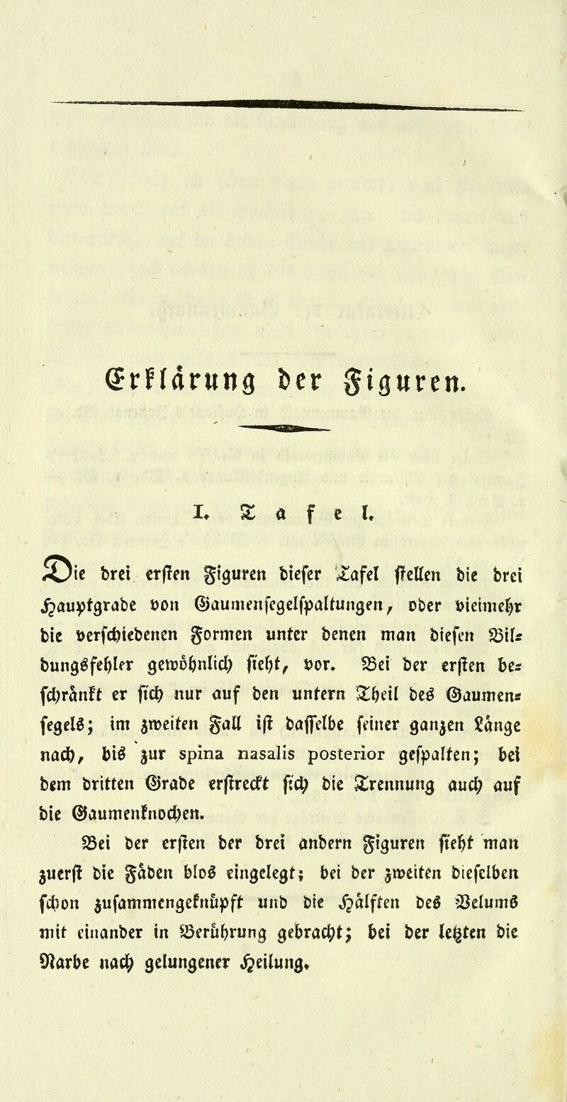 GErHärung fcer giguren. !♦ z a f e i. *öie brci erffen giguren tiefer £afel (fetten bte brct jpaupfgrabe Don ©aumenfegelfpaltungen, ober öieimefyr bie fcerfcfciebenen gormen unter benen man biefen 23ilr bunggfeljler QZ\vi>f)i\l\d) fi0f t>or. 25ei ber erffen be* fcbranft er jfcfr nur auf ben unfern Zfoil beö Räumen« fegelS; im ^weiten galt iff baflelbe feiner ganzen ftünge nad), biö jur spina nasalis posterior gehalten; bei bem britten (Srabe erffrecft fiü) bie Trennung auü) auf bie ®aumenfnod)en. 2Sei ber erffen ber bret anbern giguren ft'eljf man $uerff bie gaben bloS eingelegt; bei ber jmeiten biefelben fcbon $ufammengefnttpft unb bie ^alften beS iöelumö mit einanber in Söerttfyrung gebracht! bei ber kfyttn bie Sftarbe na$ gelungener Teilung*