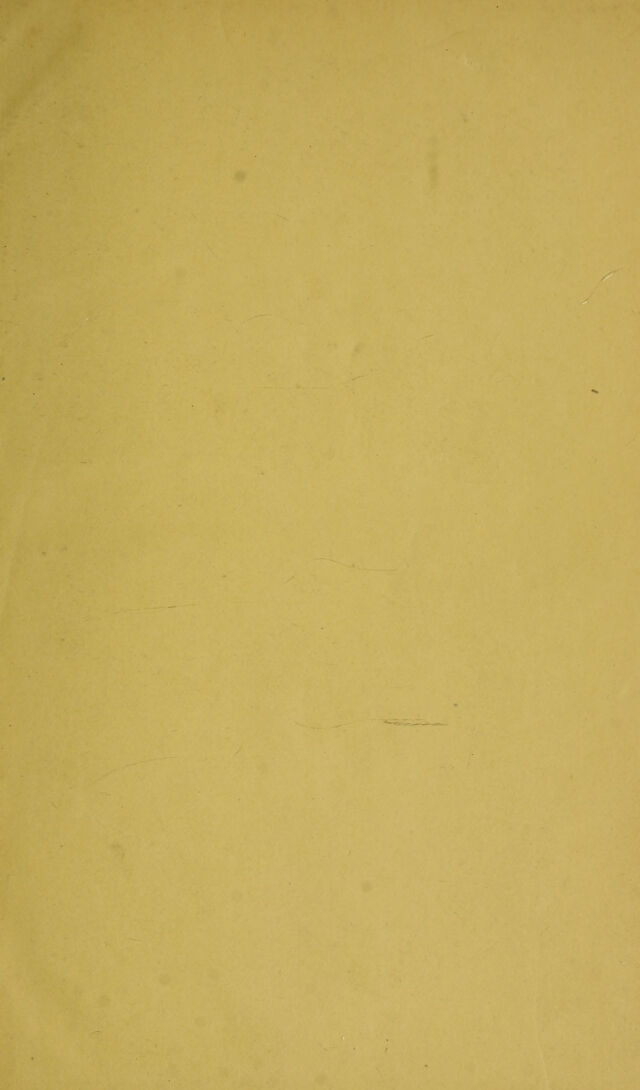 digitised image 3