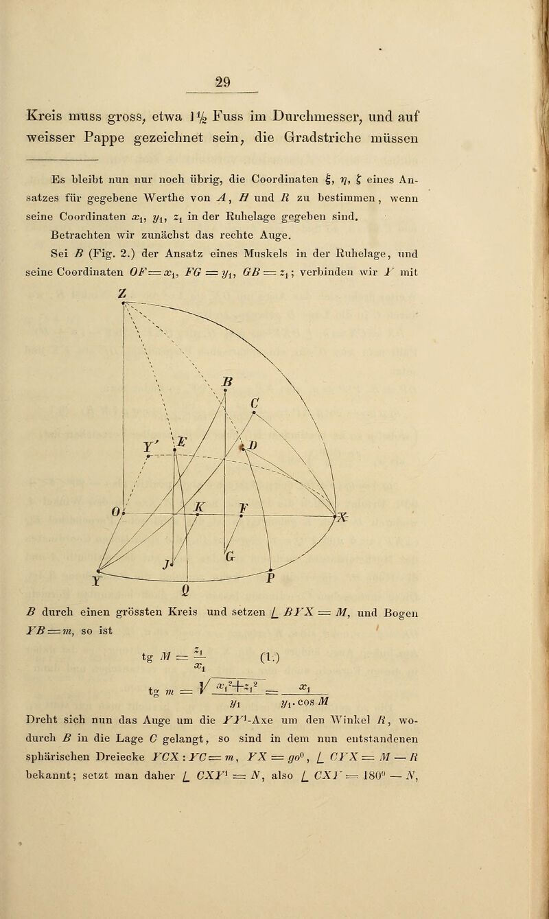 Kreis muss gross, etwa ] y2 Fuss im Durchmesser, und auf weisser Pappe gezeichnet sein, die Gradstriche müssen Es bleibt nun nur noch übrig, die Coordinaten f, r\, f eines An- satzes für gegebene Werthe von A, H und R zu bestimmen , wenn seine Coordinaten xt, yl, zt in der Ruhelage gegeben sind. Betrachten wir zunächst das rechte Auge. Sei B (Fig. 2.) der Ansatz eines Muskels in der Ruhelage, und seine Coordinaten OF=x1, FG = yit GB = zx\ verbinden wir Y mit z B durch einen grössten Kreis und setzen \_ BYX = M, und Bogen YB = m, so ist tg m = ZJ- (i.) tg m yt yvcosM Dreht sich nun das Auge um die .FJ^-Axe um den Winkel R, wo- durch B in die Lage C gelangt, so sind in dem nun entstandenen sphärischen Dreiecke YCX :YC—m, YX = go°, \_ CYX — M — R bekannt; setzt man daher [_ CXY1 = N, also [_ CXY — 180° — AT,