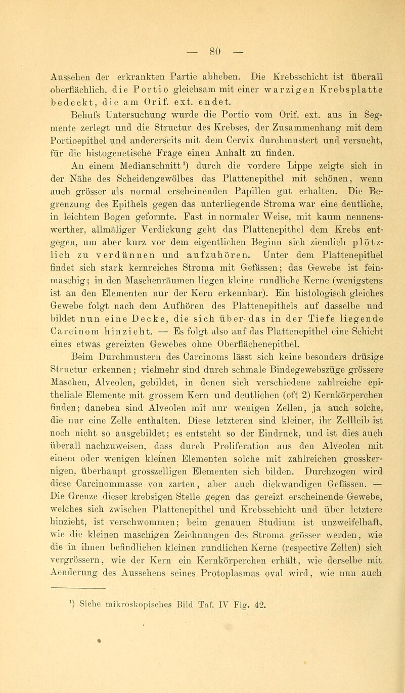 Aussehen dei* erkrankten Partie abheben. Die Krebsschicht ist überall oberflächlich, die Portio gleichsam mit einer warzigen Krebsplatte bedeckt, die am Orif. ext. endet. Behufs Untersuchung wurde die Portio vom Orif. ext. aus in Seg- mente zerlegt und die Structur des Krebses, der Zusammenhang mit dem Portioepithel und andererseits mit dem Cervix durchmustert und versucht, für die histogenetische Frage einen Anhalt zu finden. An einem Medianschnitt1) durch die vordere Lippe zeigte sich in der Nähe des Scheidengewölbes das Plattenepithel mit schönen, wenn auch grösser als normal erscheinenden Papillen gut erhalten. Die Be- grenzung des Epithels gegen das unterliegende Stroma war eine deutliche, in leichtem Bogen geformte. Fast in normaler Weise, mit kaum nennens- werther, allmäliger Verdickung geht das Plattenepithel dem Krebs ent- gegen, um aber kurz vor dem eigentlichen Beginn sich ziemlich plötz- lich zu verdünnen und aufzuhören. Unter dem Plattenepithel findet sich stark kernreiches Stroma mit Gefässen; das Gewebe ist fein- maschig ; in den Maschenräumen liegen kleine rundliche Kerne (wenigstens ist an den Elementen nur der Kern erkennbar). Ein histologisch gleiches Gewebe folgt nach dem Aufhören des Plattenepithels auf dasselbe und bildet nun eine Decke, die sich über-das in der Tiefe liegende Carcinom hinzieht. — Es folgt also auf das Plattenepithel eine Schicht eines etwas gereizten Gewebes ohne Oberflächenepithel. Beim Durchmustern des Carcinoms lässt sich keine besonders drüsige Structur erkennen; vielmehr sind durch schmale Bindegewebszüge grössere Maschen, Alveolen, gebildet, in denen sich verschiedene zahlreiche epi- theliale Elemente mit grossem Kern und deutlichen (oft 2) Kernkörperchen finden; daneben sind Alveolen mit nur wenigen Zellen, ja auch solche, die nur eine Zelle enthalten. Diese letzteren sind kleiner, ihr Zellleib ist noch nicht so ausgebildet; es entsteht so der Eindruck, und ist dies auch überall nachzuweisen, dass durch Proliferation aus den Alveolen mit einem oder wenigen kleinen Elementen solche mit zahlreichen grossker- nigen, überhaupt grosszelligen Elementen sich bilden. Durchzogen wird diese Carcinommasse von zarten, aber auch dickwandigen Gefässen. — Die Grenze dieser krebsigen Stelle gegen das gereizt erscheinende Gewebe, welches sich zwischen Plattenepithel und Krebsschicht und über letztere hinzieht, ist verschwommen; beim genauen Studium ist unzweifelhaft, wie die kleinen maschigen Zeichnungen des Stroma grösser werden, wie die in ihnen befindlichen kleinen rundlichen Kerne (respective Zellen) sich vergrössern, wie der Kern ein Kernkörperchen erhält, wie derselbe mit Aendei-ung des Aussehens seines Protoplasmas oval wird, wie nun auch ]) Siehe mikroskopisches Bild Taf. IV Fig. 42.