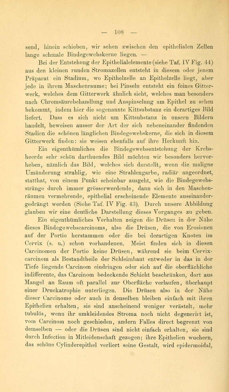 send, hinein schieben, wir sehen zwischen den epithelialen Zellen lange schmale Bindegewebskerne liegen. — Bei der Entstehung der Epithelialelemente (siehe Taf. IV Fig. 44) aus den kleinen runden Stromazellen entsteht in diesem oder jenem Präparat ein Stadium, wo Epithelzelle an Epithelzelle liegt, aber jede in ihrem Maschenraume; bei Pinseln entsteht ein feines Gitter- werk, welches dem Gitterwerk ähnlich sieht, welches man besonders nach Chromsäurebehandlung und Auspinselung am Epithel zu sehen bekommt, indem hier die sogenannte Kittsubstanz ein derartiges Bild liefert. Dass es sich nicht um Kittsubstanz in unsern Bildern handelt, beweisen ausser der Art der sich nebeneinander findenden Stadien die schönen länglichen Bindegewebskerne, die sich in diesem Gitterwerk finden: sie weisen ebenfalls auf ihre Herkunft hin. Ein eigenthümliches die Bindegewebsentstehung der Krebs- heerde sehr schön darthuendes Bild möchten wir besonders hervor- heben, nämlich das Bild, welches sich darstellt, wenn die maligne Umänderung strahlig, wie eine Strahlengarbe, radiär angeordnet, statthat, von einem Punkt scheinbar ausgeht, wie die Bindegewebs- stränge durch immer grösserwerdende, dann sich in den Maschen- räumen vermehrende, epithelial erscheinende Elemente auseinander- gedrängt werden (Siehe Taf. IV Fig. 43). Durch unsere Abbildung glauben wir eine deutliche Darstellung dieses Vorganges zu geben. Ein eigenthümliches Verhalten zeigen die Drüsen in der Nähe dieses Bindegewebscarcinoms, also die Drüsen, die von Erosionen auf der Portio herstammen oder die bei derartigen Knoten im Cervix (s. u.) schon vorhandenen. Meist finden sich in diesen Carcinomen der Portio keine Drüsen, während sie beim Cervix- carcinom als Bestandtheile der Schleimhaut entweder in das in der Tiefe liegende Carcinom eindringen oder sich auf die oberflächliche indifferente, das Carcinom bedeckende Schicht beschränken, dort aus Mangel an Raum oft parallel zur Oberfläche verlaufen, überhaupt einer Druckatrophie unterliegen. Die Drüsen also in der Nähe dieser Carcinome oder auch in denselben bleiben einfach mit ihren Epithelien erhalten, sie sind anscheinend weniger verästelt, mehr tubulös, wenn ihr umkleidendes Stroma noch nicht degenerht ist, vom Carcinom noch geschieden, andern Falles direct begrenzt von demselben — oder die Drüsen sind nicht einfach erhalten, sie sind durch Infection in Mitleidenschaft gezogen; ihre Epithelien wuchern, das schöne Cylinderepithel verliert seine Gestalt, wird epidermoidal,