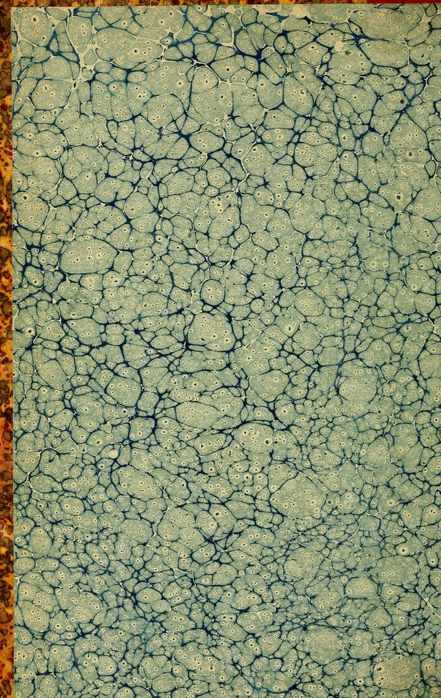 digitised image 2