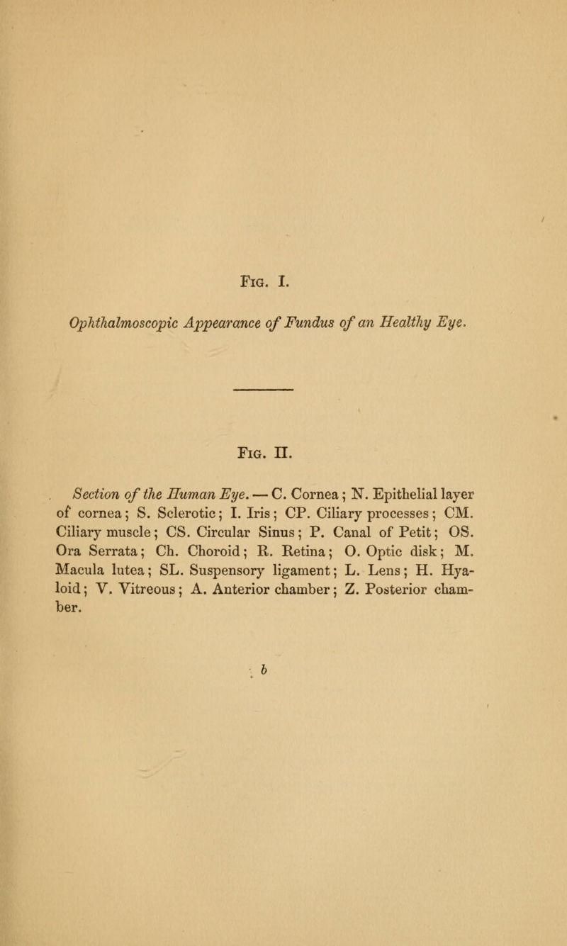 Fig. I. Ophthalmoscopic Appearance of Fundus of an Healthy Eye, Fig. II. Section of the Human Eye. — C. Cornea; N. Epithelial layer of cornea; S. Sclerotic; I. Iris; CP. Ciliary processes; CM. Ciliary muscle; CS. Circular Sinus; P. Canal of Petit; OS. Ora Serrata; Ch. Choroid; R. Retina; O. Optic disk; M. Macula lutea; SL. Suspensory ligament; L. Lens; H. Hya- loid ; V. Vitreous; A. Anterior chamber; Z. Posterior cham- ber.