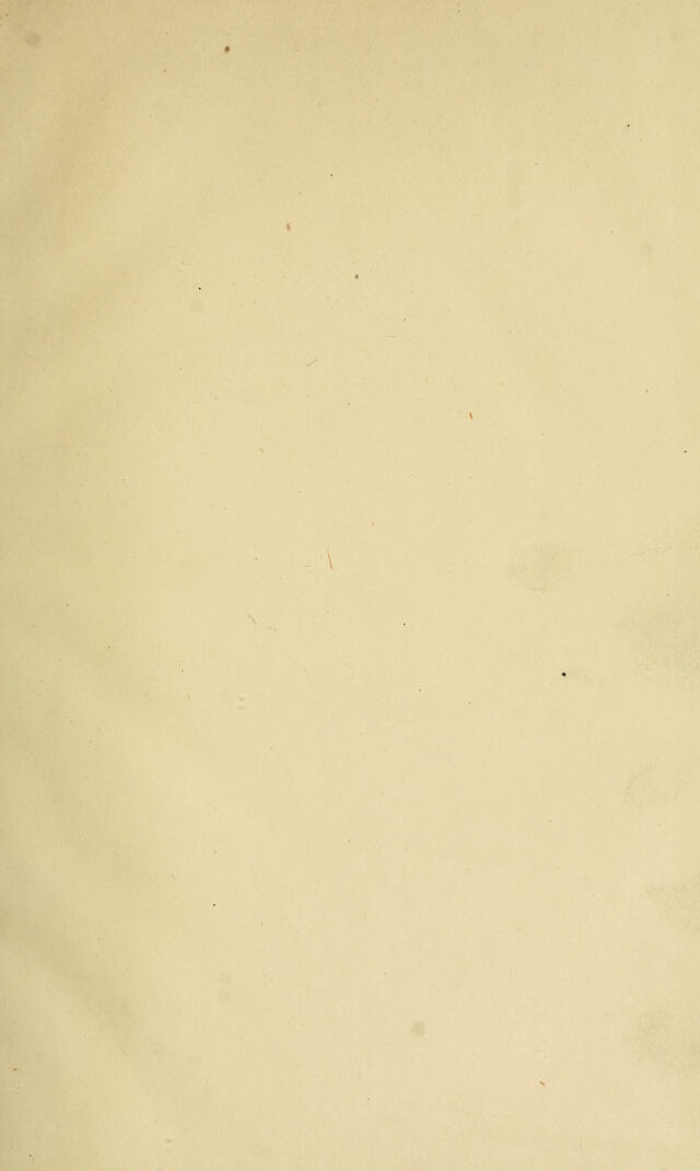 digitised image 3