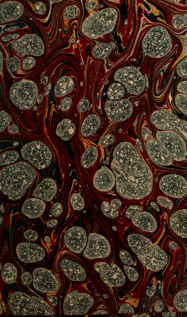 No text description is available for this image