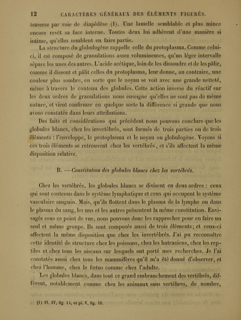 traverse par voie de cliapédèse (i). Une lamelle semblable et plus mince encore revêt sa face interne. Toutes deux lui adhèrent d'une manière si intime, qu'elles semblent en faire partie. La structure du globulogène rappelle celle du protoplasma. Comme celui- ci, il est composé de granulations assez volumineuses, qu'un léger intervalle sépare les unes des autres. L'acide acétique, loin de les dissoudre et de les pâlir, comme il dissout et pâlit celles du protoplasma, leur donne, au contraire, une couleur plus sombre, en sorte que le noyau se voit avec une grande netteté, même a travers le contenu des globules. Cette action inverse du réactif sur les deux ordres de granulations nous enseigne qu'elles ne sont pas de même nature, et vient confirmer en quelque sorte la différence si grande que nous avons constatée dans leurs attributions. Des faits et considérations qui précèdent nous pouvons conclure que les globules blancs, chez les invertébrés, sont formés de trois parties ou de trois éléments : l'enveloppe, le protoplasma et le noyau ou globulogène. Voyons si ces trois éléments se retrouvent chez les vertébrés, et s'ils affectent la même disposition relative. B. — Constitution des globules blancs chez les vertébrés. . Chez les vertébrés, les globules blancs se divisent en deux ordres : ceux qui sont contenus dans le système lymphatique et ceux qui occupent le système vasculaire sanguin. Mais, qu'ils flottent dans le plasma de la lymphe ou dans le plasma du sang, les uns et les autres présentent la même constitution. Envi- sagés sous ce point de vue, nous pouvons donc les rapprocher pour en faire un seul et même groupe. Ils sont composés aussi de trois éléments; et ceux-ci affectent la même disposition que chez les invertébrés. J'ai pu reconnaître cette identité de structure chez les poissons, chez les batraciens, chez les rep- tiles et chez tous les oiseaux sur lesquels ont porté mes recherches. Je l'ai constatée aussi chez tous les mammifères qu'il m'a été donné d'observer, et chez l'homme, chez le fœtus comme chez l'adulte. Les globules blancs, dans tout ce grand embranchement des vertébrés, dif- fèrent, notablement comme chez les animaux sans vertèbres, de nombre, (1) PI. IV, fig. li, etpl. V, fig. 10.