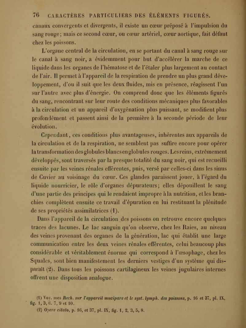 canaux convergents et divergents, il existe un cœur préposé à l'impulsion du sang rouge; mais ce second cœur, ou cœur artériel, cœur aortique, fait défaut chez les poissons. L'organe central de la circulation, en se portant du canal à sang rouge sur le canal à sang noir, a évidemment pour but d'accélérer la marche de ce liquide dans les organes de l'hématose et de l'étaler plus largement au contact de l'air. 11 permet à l'appareil de la respiration de prendre un plus grand déve- loppement, d'où il suit que les deux fluides, mis en présence, réagissent l'un sur l'autre avec plus d'énergie. On comprend donc que les éléments figurés du sang, rencontrant sur leur route des conditions mécaniques plus favorables à la circulation et un appareil d'oxygénation plus puissant, se modifient plus profondément et passent ainsi de la première à la seconde période de leur évolution. Cependant, ces conditions plus avantageuses, inhérentes aux appareils de la circulation et de la respiration, ne semblent pas suffire encore pour opérer la transformation des globules blancs en globules rouges. Les reins, extrêmement développés, sont traversés par la presque totahté du sang noir, qui est recueilli ensuite par les veines rénales efférentes, puis, versé par celles-ci dans les sinus de Cuvier au voisinage du cœur. Ces glandes paraissent jouer, à l'égard du liquide nourricier, le rôle d'organes dépurateurs; elles dépouillent le sang d'une partie des principes qui le rendaient impropre à la nutrition, et les bran- chies complètent ensuite ce travail d'épuration en lui restituant la plénitude de ses propriétés assimilatrices (1). Dans l'appareil de la circulation des poissons on retrouve encore quelques traces des lacunes. Le lac sanguin qu'on observe, chez les Raies, au niveau des veines provenant des organes de la génération, lac qui établit une large communication entre les deux veines rénales efférentes, celui beaucoup plus considérable et véritablement énorme qui correspond à l'œsophage, chez les Squales, sont bien manifestement les derniers vestiges d'un système qui dis- paraît (2). Dans tous les poissons cartilagineux les veines jugulaires internes offrent une disposition analogue. (1) Voy. mes Rech. sur l'appareil mueipare et le syst. lymph. des poissons, p. 16 et 37, pL IX, fig. 1,3, G. 7,9 et 10. (2) Opère citato, p. 10, et 37, pL IX, fig. 1, 2, 3, 5, 8.