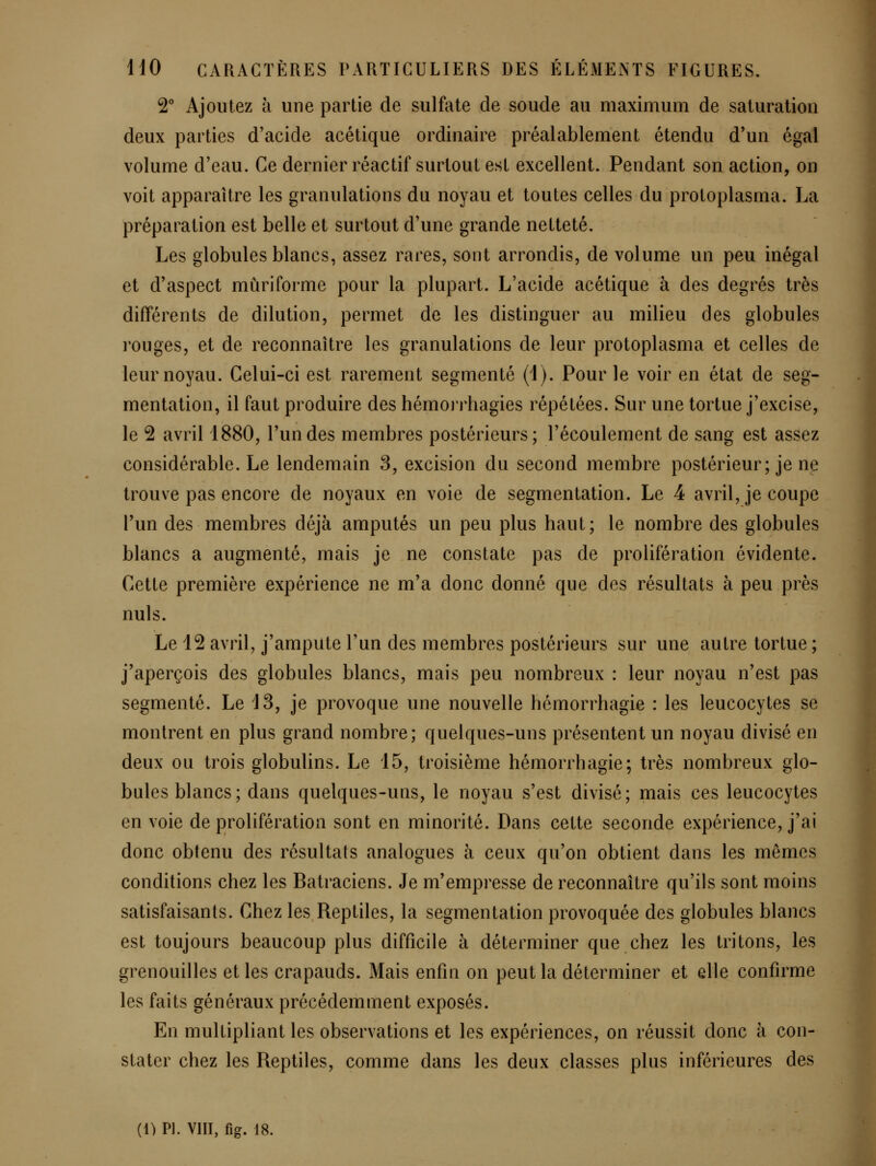 2° Ajoutez à une partie de sulfate de soude au maximum de saturation deux parties d'acide acétique ordinaire préalablement étendu d'un égal volume d'eau. Ce dernier réactif surtout est excellent. Pendant son action, on voit apparaître les granulations du noyau et toutes celles du protoplasma. La préparation est belle et surtout d'une grande netteté. Les globules blancs, assez rares, sont arrondis, de volume un peu inégal et d'aspect mûri forme pour la plupart. L'acide acétique à des degrés très différents de dilution, permet de les distinguer au milieu des globules rouges, et de reconnaître les granulations de leur protoplasma et celles de leur noyau. Celui-ci est rarement segmenté (1). Pour le voir en état de seg- mentation, il faut produire des hémoiThagies répétées. Sur une tortue j'excise, le 2 avril 1880, l'un des membres postérieurs; l'écoulement de sang est assez considérable. Le lendemain 3, excision du second membre postérieur; je ne trouve pas encore de noyaux en voie de segmentation. Le 4 avril, je coupe l'un des membres déjà amputés un peu plus haut; le nombre des globules blancs a augmenté, mais je ne constate pas de prolifération évidente. Cette première expérience ne m'a donc donné que des résultats à peu près nuls. Le 12 avril, j'ampute l'un des membres postérieurs sur une autre tortue ; j'aperçois des globules blancs, mais peu nombreux : leur noyau n'est pas segmenté. Le 13, je provoque une nouvelle hémorrhagie : les leucocytes se montrent en plus grand nombre; quelques-uns présentent un noyau divisé en deux ou trois globulins. Le 15, troisième hémorrhagie; très nombreux glo- bules blancs; dans quelques-uns, le noyau s'est divisé; mais ces leucocytes en voie de prolifération sont en minorité. Dans cette seconde expérience, j'ai donc obtenu des résultats analogues à ceux qu'on obtient dans les mêmes conditions chez les Batraciens. Je m'empresse de reconnaître qu'ils sont moins satisfaisants. Chez les Reptiles, la segmentation provoquée des globules blancs est toujours beaucoup plus difficile à déterminer que chez les tritons, les grenouilles et les crapauds. Mais enfin on peut la déterminer et elle confirme les faits généraux précédemment exposés. En multipliant les observations et les expériences, on réussit donc à con- stater chez les Reptiles, comme dans les deux classes plus inférieures des