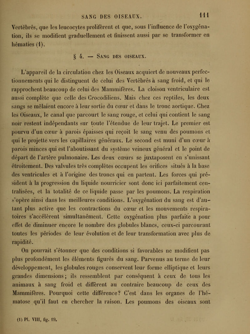 Vertébrés, que les leucocytes prolifèrent et que, sous l'influence de l'oxygéna- tion, ils se modifient graduellement et fmissent aussi par se transformer en hématies (1). § 4, — Sang des oiseaux. L'appareil de la circulation chez les Oiseaux acquiert de nouveaux perfec- tionnements qui le distinguent de celui des Vertébrés à sang froid, et qui le rapprochent beaucoup de celui des Mammifères. La cloison ventriculaire est aussi complète que celle des Grocodiliens. Mais chez ces reptiles, les deux sangs se mêlaient encore à leur sortie du cœur et dans le tronc aortique. Chez les Oiseaux, le canal que parcourt le sang rouge, et celui qui contient le sang noir restent indépendants sur toute l'étendue de leur trajet. Le premier est pourvu d'un cœur à parois épaisses qui reçoit le sang venu des poumons et qui le projette vers les capillaires généraux. Le second est muni d'un cœur à parois minces qui est l'aboutissant du système veineux général et le point de départ de l'artère pulmonaire. Les deux cœurs se juxtaposent en s'unissant étroitement. Des valvules très complètes occupent les orifices situés à la base des ventricules et à l'origine des troncs qui en partent. Les forces qui pré- sident à la progression du liquide nourricier sont donc ici parfaitement cen- tralisées, et la totalité de ce liquide passe par les poumons. La respiration s'opère ainsi dans les meilleures conditions. L'oxygénation du sang est d'au- tant plus active que les contractions du cœur et les mouvements respira- toires s'accélèrent simultanément. Cette oxygénation plus parfaite a pour effet de diminuer encore le nombre des globules blancs, ceux-ci parcourant toutes les périodes de leur évolution et de leur transformation avec plus de rapidité. On pourrait s'étonner que des conditions si favorables ne modifient pas plus profondément les éléments figurés du sang. Parvenus au terme de leur développement, les globules rouges conservent leur forme elliptique et leurs grandes dimensions; ils ressemblent par conséquent à ceux de tous les animaux à sang froid et diffèrent au contraire beaucoup de ceux des Mammifères. Pourquoi cette différence? C'est dans les organes de l'hé- matose qu'il faut en chercher la raison. Les poumons des oiseaux sont