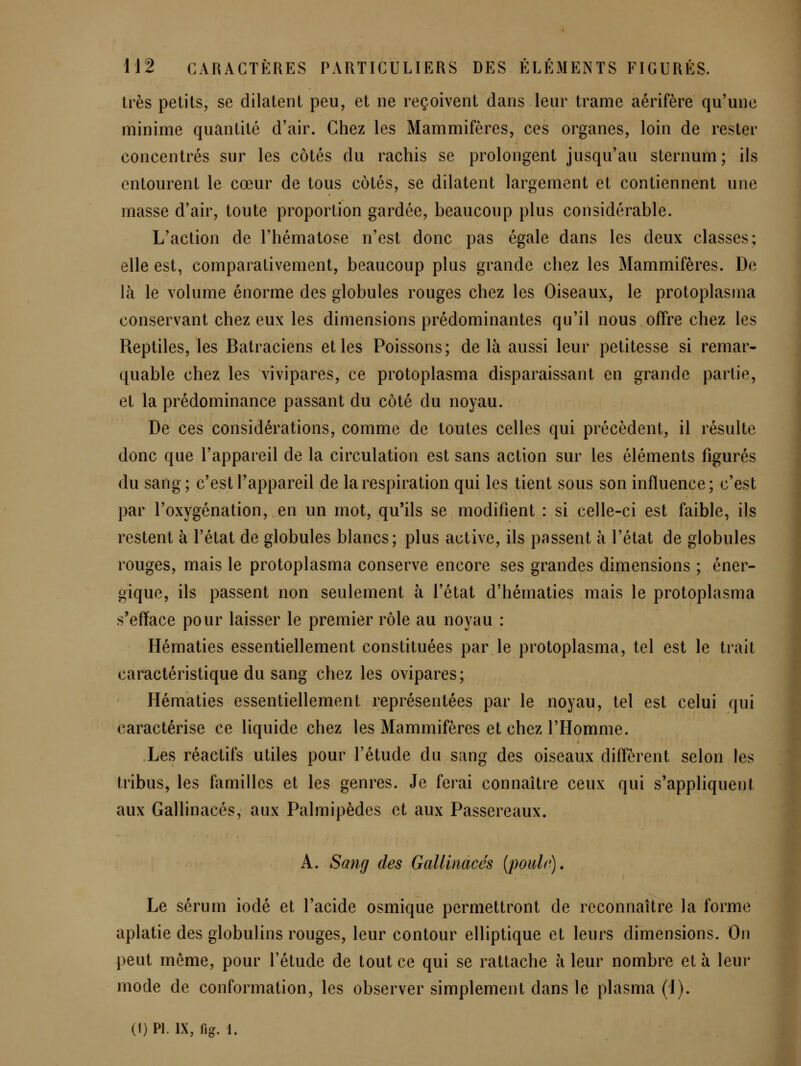 très petits, se dilatent peu, et ne reçoivent dans leur trame aérifère qu'une minime quantité d'air. Chez les Mammifères, ces organes, loin de rester concentrés sur les côtés du rachis se prolongent jusqu'au sternum ; ils entourent le cœur de tous côtés, se dilatent largement et contiennent une masse d'air, toute proportion gardée, beaucoup plus considérable. L'action de l'hématose n'est donc pas égale dans les deux classes; elle est, comparativement, beaucoup plus grande chez les Mammifères. De là le volume énorme des globules rouges chez les Oiseaux, le protoplasma conservant chez eux les dimensions prédominantes qu'il nous offre chez les Reptiles, les Batraciens et les Poissons; de là aussi leur petitesse si remar- quable chez les vivipares, ce protoplasma disparaissant en grande partie, et la prédominance passant du côté du noyau. De ces considérations, comme de toutes celles qui précèdent, il résulte donc que l'appareil de la circulation est sans action sur les éléments figurés du sang; c'est l'appareil de la respiration qui les tient sous son influence; c'est par l'oxygénation, en un mot, qu'ils se modifient : si celle-ci est faible, ils restent à l'état de globules blancs; plus active, ils passent à l'état de globules rouges, mais le protoplasma conserve encore ses grandes dimensions ; éner- gique, ils passent non seulement à l'état d'hématies mais le protoplasma s'efface pour laisser le premier rôle au noyau : Hématies essentiellement constituées par le protoplasma, tel est le trait caractéristique du sang chez les ovipares; Hématies essentiellement représentées par le noyau, tel est celui qui caractérise ce liquide chez les Mammifères et chez l'Homme. Les réactifs utiles pour l'étude du sang des oiseaux diffèrent selon les tribus, les familles et les genres. Je ferai connaître ceux qui s'appliquent aux Gallinacés, aux Palmipèdes et aux Passereaux. A. Sang des Gallinacés {poule). Le sérum iodé et l'acide osmique permettront de reconnaître la forme aplatie des globulins rouges, leur contour elliptique et leurs dimensions. On peut même, pour l'étude de tout ce qui se rattache à leur nombre et à leur mode de conformation, les observer simplement dans le plasma (1).