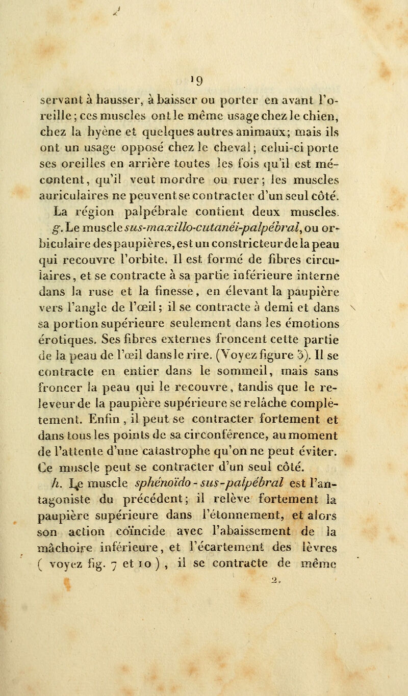 ï9 servant à hausser, abaisser ou porter en avant l'o- reille ; CCS muscles ont le même usage chez le chien, chez la hyène et quelques autres animaux; mais ils ont un usage opposé chez le cheval ; celui-ci porte ses oreilles en arrière toutes les fois qu'il est mé- content, qu'il veut mordre ou ruer; les muscles auriculaires ne peuvent se contracter d'un seul côté. La région paîpébrale contient deux muscles. g. Le musciesuS'maœillO'Cutanéi-palpébral^ou or- bicuîaire des paupières, est un constricteur de la peau qui recouvre Forbite. Il est formé de fibres circu- laires , et se contracte à sa partie inférieure interne dans la ruse et la finesse, en élevant la paupière vers l'angle de Fœil ; il se contracte à demi et dans sa portion supérieure seulement dans les émotions erotiques. Ses fibres externes froncent cette partie de la peau de l'œil dans le rire. (Voyez figure 5). Il se contracte en entier dans le sommeil, mais sans froncer la peau qui le recouvre, tandis que le re« leveur de la paupière supérieure se relâche complè- tement. Enfin , il peut se contracter fortement et dans tous les points de sa circonférence, au moment de l'attente d'une catastrophe qu'on ne peut éviter. Ce muscle peut se contracter d'un seul côté. h. I^e muscle sphénoïdo-sus-palpébral est l'an- tagoniste du précédent; il relève fortement la paupière supérieure dans i'étonnement, et alors son action coïncide avec l'abaissement de la mâchoire inférieure, et l'écartement des lèvres ( voyez fig. 7 et lo) , il se contracte de même