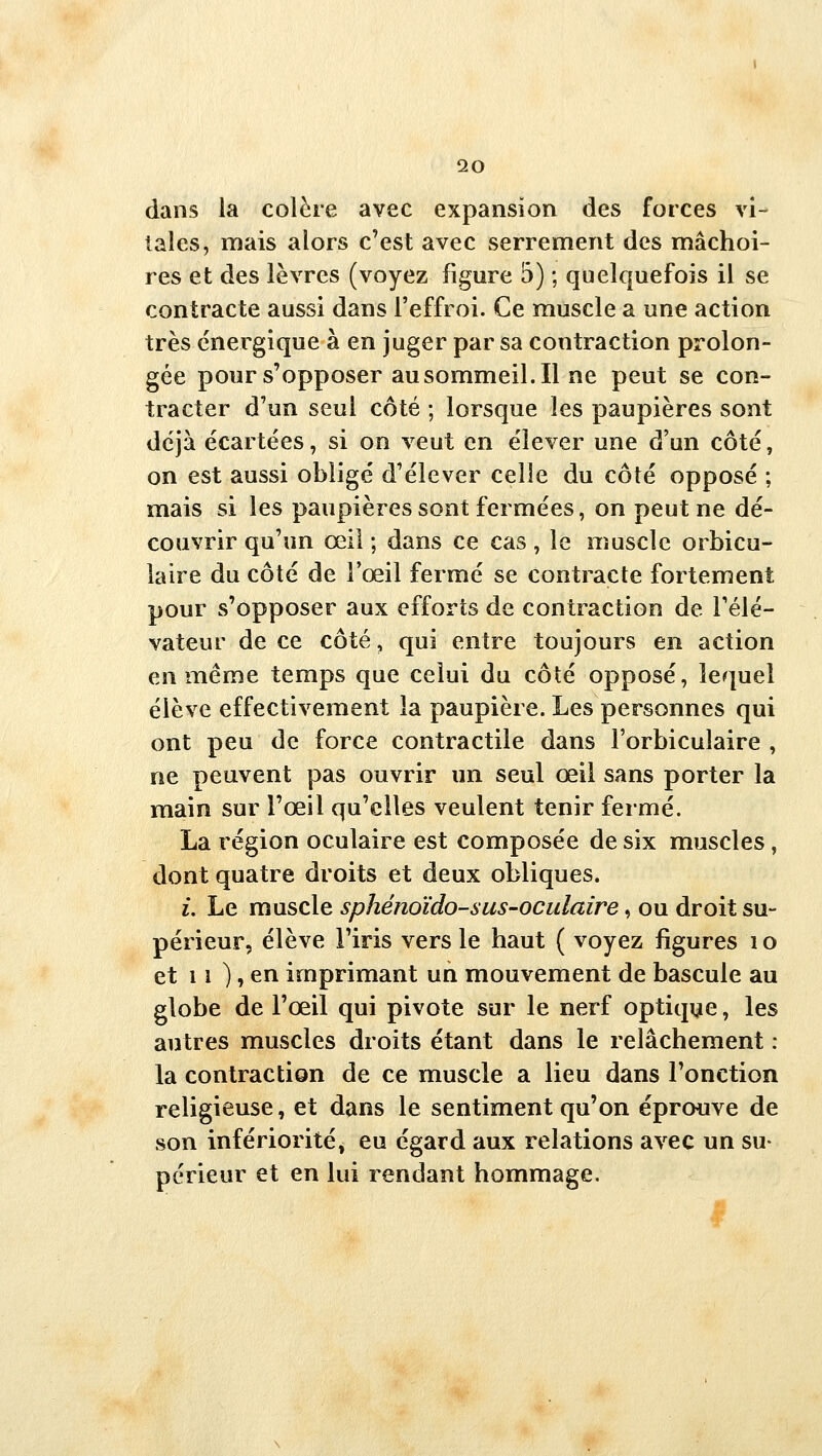 dans la colère avec expansion des forces vi- tales, mais alors c'est avec serrement des mâchoi- res et des lèvres (voyez figure 5) ; quelquefois il se contracte aussi dans l'effroi. Ce muscle a une action très énergique à en juger par sa contraction prolon- gée pour s'opposer ausommeil.il ne peut se con- tracter d'un seul côté ; lorsque les paupières sont déjà écartées, si on veut en élever une d'un côté, on est aussi obligé d'élever celle du côté opposé ; mais si les paupières sont fermées, on peut ne dé- couvrir qu'un œil ; dans ce cas , le muscle orbicu- laire du côté de l'œil fermé se contracte fortement pour s'opposer aux efforts de contraction de Télé- vateur de ce côté, qui entre toujours en action en même temps que celui du côté opposé, lequel élève effectivement la paupière. Les personnes qui ont peu de force contractile dans l'orbiculaire , ne peuvent pas ouvrir un seul œil sans porter la main sur l'œil qu'elles veulent tenir fermé. La région oculaire est composée de six muscles, dont quatre droits et deux obliques. z. Le muscle sphénoïdo-sus-oculaire, ou droit su- périeur, élève l'iris vers le haut ( voyez figures lo et 11 ), en imprimant un mouvement de bascule au globe de l'œil qui pivote sur le nerf optique, les autres muscles droits étant dans le relâchement : la contraction de ce muscle a lieu dans l'onction religieuse, et dans le sentiment qu'on éprouve de son infériorité, eu égard aux relations avec un su- périeur et en lui rendant hommage.