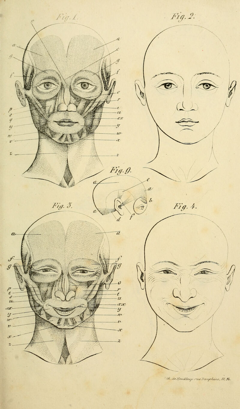 Fz^^.2: ■-■*£. ds-Jïotz^^u/s m^JlazY'^'^'^r -^ ^4--