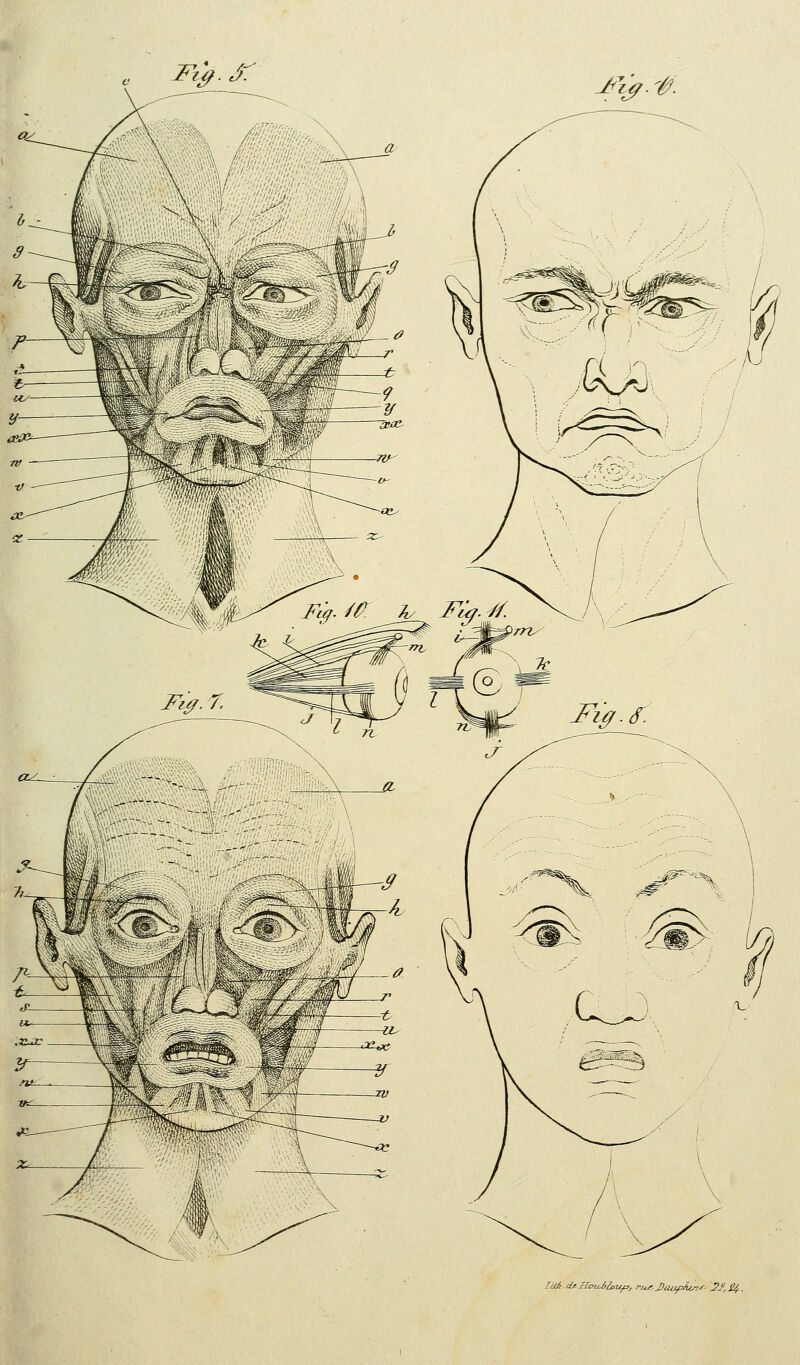 lUA. cU SaijJ/lcufi, l'iota J)iZii^Âc/7y' L?/, £/^,