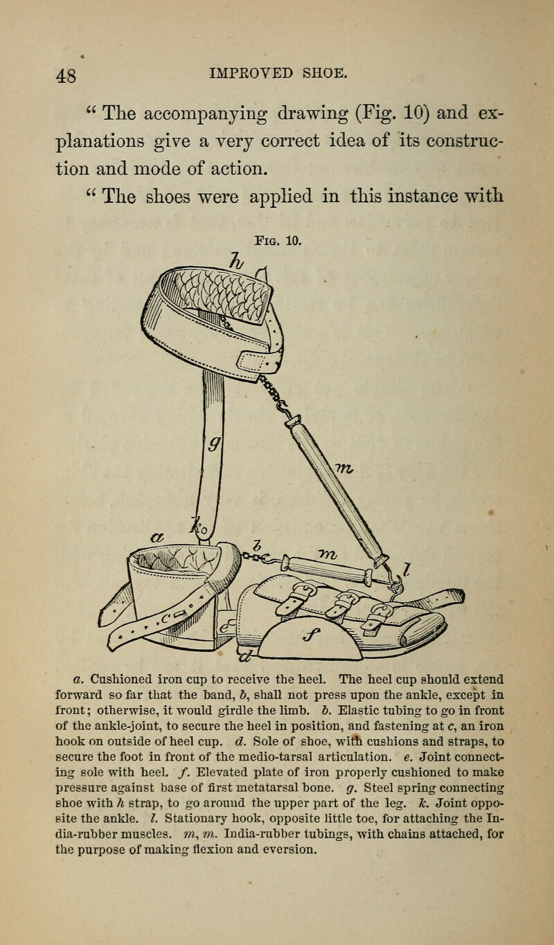  The accompanying drawing (Fig. 10) and ex- planations give a very correct idea of its construc- tion and mode of action.  The shoes were applied in this instance with Fia. 10. a. CusMoned iron cup to receive the heel. The heel cup should extend forward so far that the hand, &, shall not press upon the ankle, except in front; otherwise, it would girdle the limh. h. Elastic tuhing to go in front of the ankle-joint, to secure the heel in position, and fastening at e, an iron hook on outside of heel cup. d. Sole of shoe, with cushions and straps, to secure the foot in front of the medio-tarsal articulation, e. Joint connects ing sole with heel. /. Elevated plate of iron properly cushioned to make pressure against base of first metatarsal bone. g. Steel spring connecting shoe with A strap, to go around the upper part of the leg. Tc. Joint oppo- site the ankle. I. Stationary hook, opposite little toe, for attaching the In- dia-rubber muscles. ?w, m. India-rubber tubings, with chains attached, for the purpose of making flexion and eversion.