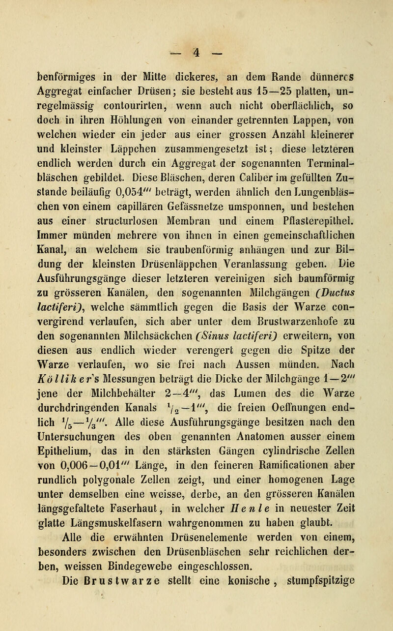benförmiges in der Mitte dickeres, an dem Rande dünneres Aggregat einfacher Drüsen; sie besteht aus 15—25 platten, un- regelmässig contourirten, wenn auch nicht oberfläclilich, so doch in ihren Höhlungen von einander getrennten Lappen, von welchen wieder ein jeder aus einer grossen Anzahl kleinerer und kleinster Läppchen zusammengesetzt ist; diese letzteren endlich werden durch ein Aggregat der sogenannten Terminal- bläschen gebildet. Diese Bläschen, deren Caliber im gefüllten Zu- stande beiläufig 0,054' beträgt, werden ähnlich den Lungenbläs- chen von einem capillären Gefässnetze umsponnen, und bestehen aus einer structurlosen Membran und einem Pflaslerepithel. Immer münden mehrere von ihnen in einen gemeinschaftlichen Kanal, an welchem sie traubenförmig anhängen und zur Bil- dung der kleinsten Drüsenläppchen Veranlassung geben. Die Ausführungsgänge dieser letzteren vereinigen sich baumförmig zu grösseren Kanälen, den sogenannten Milchgängen (Ductus lactiferi), welche sämmtlich gegen die Basis der Warze con- vergirend verlaufen, sich aber unter dem Bruslwarzenhofe zu den sogenannten Milchsäckchen (Sinus laciiferi) erweitern, von diesen aus endlich wieder verengert gegen die Spitze der Warze verlaufen, wo sie frei nach Aussen münden. Nach Köllikers Messungen beträgt die Dicke der Milchgänge 1 — 2' jene der Milchbehälter 2—4', das Lumen des die Warze durchdringenden Kanals V2~l'> ^i^ freien Oeffnungen end- lich Vä—%'. Alle diese Ausführungsgänge besitzen nach den Untersuchungen des oben genannten Anatomen ausser einem Epithelium, das in den stärksten Gängen cylindrische Zellen von 0,006—0,01' Länge, in den feineren Ramificationen aber rundlich polygonale Zellen zeigt, und einer homogenen Lage unter demselben eine weisse, derbe, an den grösseren Kanälen längsgefaltete Faserhaut, in welcher He nie in neuester Zeit glatte Längsmuskelfasern wahrgenommen zu haben glaubt. Alle die erwähnten Drüsenelemente werden von einem, besonders zwischen den Drüsenbläschen sehr reichlichen der- ben, weissen Bindegewebe eingeschlossen. Die Brustwarze stellt eine konische, stumpfspitzige