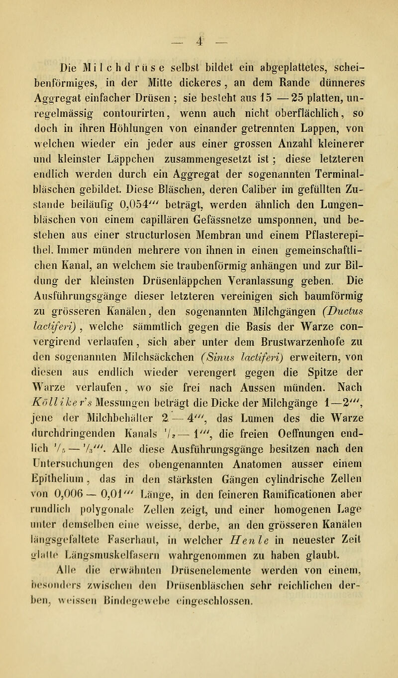 Die Milchdrüse selbst bildet ein abgeplattetes, schei- benförmiges, in der Mitte dickeres , an dem Rande dünneres Aggregat einfacher Drüsen ; sie besteht aus 15 —25 platten, un- regelmässig contourirten, wenn auch nicht oberflächlich, so doch in ihren Höhlungen von einander getrennten Lappen, von welchen wieder ein jeder aus einer grossen Anzahl kleinerer und kleinster Läppchen zusammengesetzt ist; diese letzteren endlich werden durch ein Aggregat der sogenannten Terminal- bläschen gebildet. Diese Bläschen, deren Caliber im gefüllten Zu- stande beiläufig 0,054' beträgt, werden ähnlich den Lungen- bläschen von einem capillären Gefässnetze umsponnen, und be- stehen aus einer structurlosen Membran und einem Pflasterepi- Ihel. Immer münden mehrere von ihnen in einen gemeinschaftli- chen Kanal, an welchem sie traubenförmig anhängen und zur Bil- dung der kleinsten Drüsenläppchen Veranlassung geben. Die Ausführungsgänge dieser letzteren vereinigen sich baumförmig zu grösseren Kanälen, den sogenannten Milchgängen (Ductus lactiferi) , welche sämmtlich gegen die Basis der Warze con- vergirend verlaufen, sich aber unter dem Brustwarzenhofe zu den sogenannten Milchsäckchen (Sinus lactiferi) erweitern, von diesen aus endlich wieder verengert gegen die Spitze der Warze verlaufen, wo sie frei nach Aussen münden. Nach Köllike r^s Messungen beträgt die Dicke der Milchgänge 1—2', jene der Milchbehäller 2 — 4', das Lumen des die Warze durchdringenden Kanals 7z^ 1', die freien Oeffnungen end- lich Vs — V/. Alle diese Ausführungsgänge besitzen nach den Untersuchungen des obengenannten Anatomen ausser einem Epithelium, das in den stärksten Gängen cylindrische Zellen von 0,006— 0,01' Länge, in den feineren Ramificationen aber rundlicii polygonale Zellen zeigt, und einer homogenen Lage unter demselben eine weisse, derbe, an den grösseren Kanälen längsgefaltete Faserhaul, in welcher Henle in neuester Zeit üliitle Längsmuskelfasern wahrgenommen zu haben glaubt. Alle die erwähnten Drüsenelemente werden von einem, besonders zwischen den Drüsenbläschen sehr rcMchlichen der- b(Mi. weissen Bindegewebe (iingeschlossen.