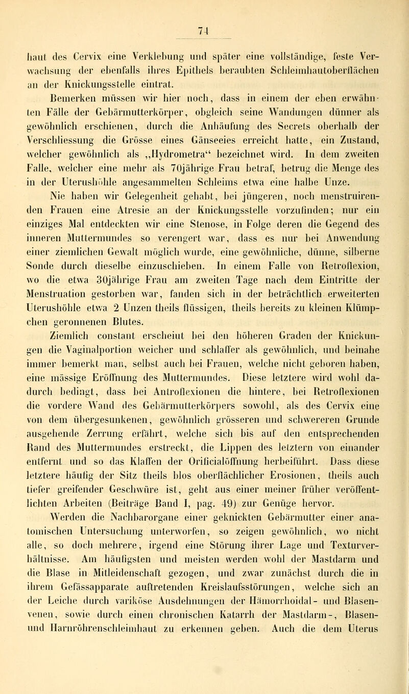 haut des Cervix eine Verklebung' und später eine vollständige, feste Ver- wachsung der ebenfalls ihres Epithels beraubten Schleimhautoberflächen an der Knickungsstelle eintrat. Bemerken müssen wir hier noch, dass in einem der eben erwähn ten Fälle der Gebärmutterkörper, obgleich seine Wandungen dünner als gewöhnlich erschienen, durch die Anhäufung des Secrets oberhalb der Verschliessung die Grösse eines Gänseeies erreicht hatte, ein Zustand, welcher gewöhnlich als „Hydrometra bezeichnet wird. In dem zweiten Falle, welcher eine mehr als 70jährige Frau betraf, betrug die Menge des in der Uterushöhle angesammelten Schleims etwa eine halbe Unze. Nie haben wir Gelegenheit gehabt, bei jüngeren, noch menstruiren- den Frauen eine Atresie an der Knickungsstelle vorzufinden; nur ein einziges Mal entdeckten wir eine Stenose, in Folge deren die Gegend des inneren Muttermundes so verengert war, dass es nur bei Anwendung einer ziemlichen Gewalt möglich wurde, eine gewöhnliche, dünne, silberne Sonde durch dieselbe einzuschieben. In einem Falle von Retroflexion, wo die etwa 30jährige Frau am zweiten Tage nach dem Eintritte der Menstruation gestorben war, fanden sich in der beträchtlich erweiterten Uterushöhle etwa 2 Unzen theils flüssigen, theils bereits zu kleinen Klümp- chen geronnenen Blutes. Ziemlich constant erscheint bei den höheren Graden der Knickun- gen die Vaginalportion weicher und schlaffer als gewöhnlich, und beinahe immer bemerkt man, selbst auch bei Frauen, welche nicht geboren haben, eine massige Eröffnung des Muttermundes. Diese letztere wird wohl da- durch bedingt, dass bei Antroflexionen die hintere, bei Retroflexionen die vordere Wand des Gebärmutterkörpers sowohl, als des Cervix eine von dem übergesunkenen, gewöhnlich grösseren und schwereren Grunde ausgehende Zerrung erfährt, welche sich bis auf den entsprechenden Rand des Muttermundes erstreckt, die Lippen des letztern von einander entfernt und so das Klaffen der Orificialöffnung herbeiführt. Dass diese letztere häufig der Sitz theils blos oberflächlicher Erosionen, theils auch tiefer greifender Geschwüre ist, geht aus einer meiner früher veröffent- lichten Arbeiten (Beiträge Band I, pag. 49) zur Genüge hervor. Werden die Nachbarorgane einer geknickten Gebärmutter einer ana- tomischen Untersuchung unterworfen, so zeigen gewöhnlich, wo nicht alle, so doch mehrere, irgend eine Störung ihrer Lage und Texturver- hältnisse. Am häufigsten und meisten werden wohl der Mastdarm und die Blase in Mitleidenschaft gezogen, und zwar zunächst durch die in ihrem Gefässapparate auftretenden Kreislaufsstörungen, welche sich an der Leiche durch variköse Ausdehnungen der Hämorrhoidal- und Blasen- venen, sowie durch einen chronischen Katarrh der Mastdarm-, Blasen- und Harnröhrenschleimhaut zu erkennen geben. Auch die dem Uterus
