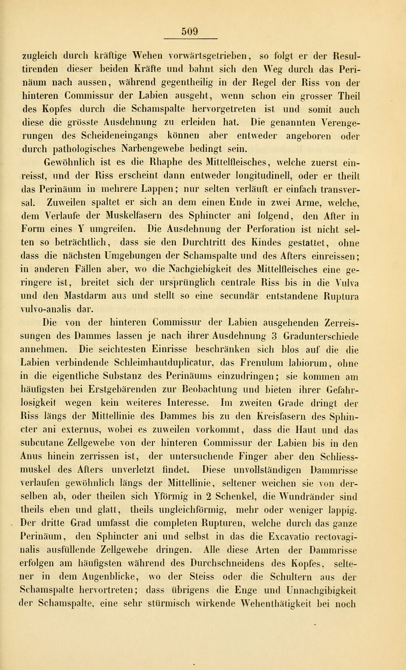 zugleich durch kräftige Wehen vorwärtsgetrieben, so folgt er der Resul- tirenden dieser beiden Kräfte und bahnt sich den Weg durch das Peri- näum nach aussen, während gegenteilig in der Regel der Riss von der hinteren Commissur der Labien ausgeht, wenn schon ein grosser Theil des Kopfes durch die Schamspalte hervorgetreten ist und somit auch diese die grüsste Ausdehnung zu erleiden hat. Die genannten Verenge- rungen des Scheideneingangs können aber entweder angeboren oder durch pathologisches Narbengewebe bedingt sein. Gewöhnlich ist es die Rhaphe des Mittelfleisches, welche zuerst ein- reisst, und der Riss erscheint dann entweder longitudinell, oder er theilt das Perinäum in mehrere Lappen; nur selten verläuft er einfach transver- sal. Zuweilen spaltet er sich an dem einen Ende in zwei Arme, welche, dem Verlaufe der Muskelfasern des Sphincter ani folgend, den After in Form eines Y umgreifen. Die Ausdehnung der Perforation ist nicht sel- ten so beträchtlich, dass sie den Durchtritt des Kindes gestattet, ohne dass die nächsten Umgebungen der Schamspalte und des Afters einreissen; in anderen Fällen aber, wo die Nachgiebigkeit des Mittelfleisches eine ge- ringere ist, breitet sich der ursprünglich centrale Riss bis in die Vulva und den Mastdarm aus und stellt so eine secundär entstandene Ruptura vulvo-analis dar. Die von der hinteren Commissur der Labien ausgehenden Zerreis- sungen des Dammes lassen je nach ihrer Ausdehnung 3 Gradunterschiede annehmen. Die seichtesten Einrisse beschränken sich blos auf die die Labien verbindende Schleimhautduplicatur, das Frenulum labiorum, ohne in die eigentliche Substanz des Perinäums einzudringen; sie kommen am häufigsten bei Erstgebärenden zur Reobachtung und bieten ihrer Gefahr- losigkeit wegen kein weiteres Interesse. Im zweiten Grade dringt der Riss längs der Mittellinie des Dammes bis zu den Kreisfasern des Sphin- cter ani externus, wobei es zuweilen vorkommt, dass die Haut und das subcutane Zellgewebe von der hinteren Commissur der Labien bis in den Anus hinein zerrissen ist, der untersuchende Finger aber den Schliess- muskel des Afters unverletzt findet. Diese unvollständigen Dammrisse verlaufen gewöhnlich längs der Mittellinie, seltener weichen sie von der- selben ab, oder theilen sich Yförmig in 2 Schenkel, die Wundränder sind theils eben und glatt, theils ungleichförmig, mehr oder weniger lappig. Der dritte Grad umfasst die completen Rupturen, welche durch das ganze Perinäum, den Sphincter ani und selbst in das die Excavatio rectovagi- nalis ausfüllende Zellgewebe dringen. Alle diese Arten der Dammrisse erfolgen am häufigsten während des Durchschneidens des Kopfes, selte- ner in dem Augenblicke, wo der Steiss oder die Schultern aus der Schamspalte hervortreten; dass übrigens die Enge und Unnachgibigkeit der Schamspalte, eine sehr stürmisch wirkende Wehenthätigkeit bei noch