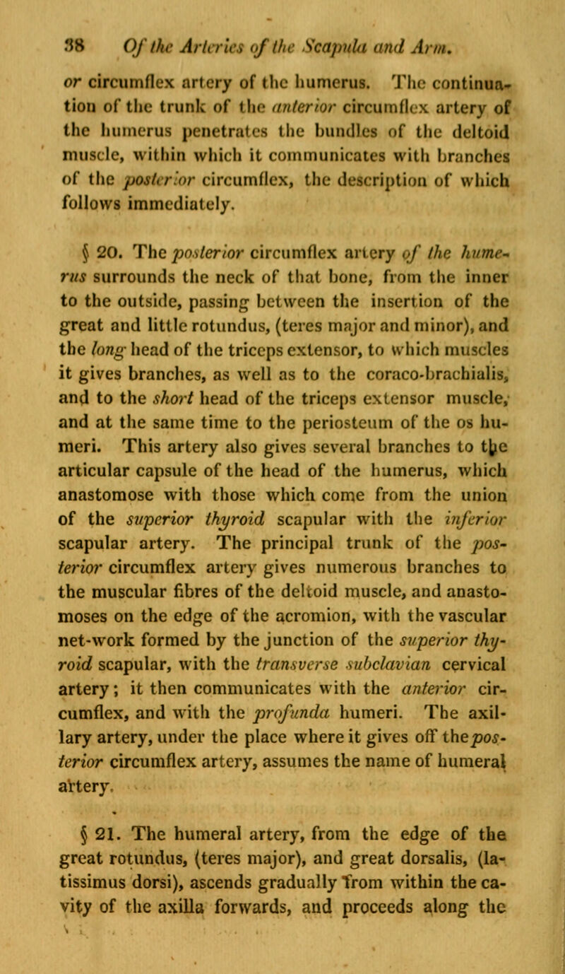 or circumflex artery of (he humerus. Tin- continua- tion of the trunk of (he anterior circumflex artery of the humerus penetrates the bundles of the deltoid muscle, within which it communicates with branches of the ptwkrior circumflex, the description of which follows immediately. § 20. The poster tor circumflex artery of Ike luunc- rus surrounds the neck of that bone, from the inner to the outside, passing between the insertion of the great and little rotundus, (teres major and minor), and the long- head of the triceps extensor, to which muscles it gives branches, as well as to the coraco-brachiulis, and to the short head of the triceps extensor muscle, and at the same time to the periosteum of the os hu- meri. This artery also gives several branches to tfoc articular capsule of the head of the humerus, which anastomose with those which come from the union of the superior thyroid scapular with the inferior scapular artery. The principal trunk of the pos- terior circumflex artery gives numerous branches to the muscular fibres of the deltoid muscle, and anasto- moses on the edge of the acromion, with the vascular net-work formed by the junction of the superior thy- roid scapular, with the transverse subclavian cervical artery; it then communicates with the anterior cir- cumflex, and with the profunda humeri. The axil- lary artery, under the place where it gives off the pos- terior circumflex artery, assumes the name of humeral artery. § 21. The humeral artery, from the edge of the great rotundus, (teres major), and great dorsalis, (la- tissimus dorsi), ascends gradually Trom within the ca- vity of the axilla forwards, and proceeds along the