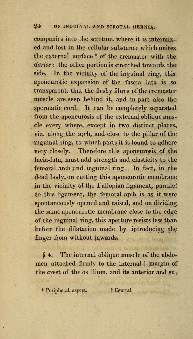 companies into the scrotum, where it is intermix^ ed and lost in the cellular substance which unites the external surface * of the cremaster with the dm^tos : the other portion is stretched towards the side. In the vicinity of the inguinal ring, this aponeurotic expansion of the fascia lata is so transparent, that the fleshy fibres of the cremaster muscle are seen behind it, and in part also the spermatic cord. It can be cornpletely separated from the aponeurosis of the external oblique mus- cle every whe^e, except in two distinct places, yiz. along the a;'ch, and close to the pillar of the inguinal ring, to which parts it is found to adhere very closely. Therefore this aponeurosis of the facia-lata, must add strength and elasticity to the femoral arch and inguinal ring. In fact, in the dead body, on cutting this aponeurotic membrane in the vicinity of tl^e Fallopian ligament^, parallel to this ligament, the femoral arch is a§ it were spontaneously opened and raised, and on dividing the same aponeurotic membrane close to the ^^^^ of the inguinal ring, this aperture resists less than before the dilatation made by introducing the finger from without inwards. ^ 4. The internal oblique muscle of the abdor men attached firmly to the internal f margin of the crest of the os ilium, and its anterior and six- t Peripbpfal. aspcpt. t Central o