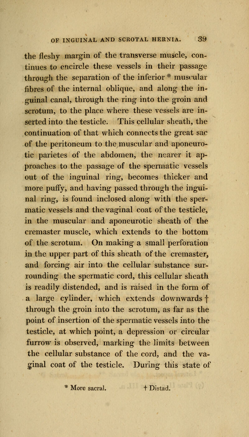 the fleshy margin of the transverse muscle, con- tinues to encircle these vessels in their passage through the separation of the inferior* mus(;ular jfibres of the internal oblique, and along the in- guinal canal, through the ring into the groin and scrotum, to the place where these vessels are in- serted into the testicle. This cellular sheath, the continuation of that which connects the great sac of the peritoneum to the.muscular and aponeuro- tic parietes of the abdomen, the nearer it ap- proaches to the passage of the spermatic vessels out of the inguinal ring, becomes thicker and more puffy, and having passed through the ingui- nal ring, is found inclosed along with the sper- matic vessels and the vaginal coat of the testicle, in the muscular and aponeurotic sheath of the cremaster muscle, which extends to the bottom of the scrotum. On making a small perforation in the upper part of this sheath of the cremaster, and forcing air into the cellular substance sur- rounding the spermatic cord, this cellular sheath is readily distended, and is raised in the form of a large cylinder, which extends downwards f through the groin into the scrotum, as far as the point of insertion of the spermatic vessels into the testicle, at which point, a depression or circular furrow is observed, marking the limits between the cellular substance of the cord, and the va- ginal coat of the testicle. During this state of * More sacral. t Distad.