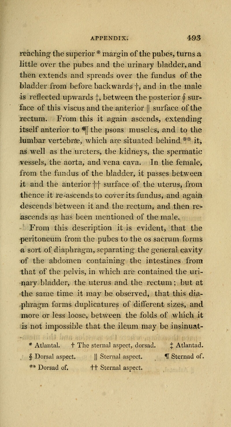 reaching the superior * margin of the pubes, turns a little over the pubes and the urinary bladder, and then extends and spreads over the fundus of the bladder from before backwards f 3 and in the male is reflected upwards if, between the posterior ^ sur- face of this viscus and the anterior || surface of the rectum. From this it again ascends, extending itself anterior to ^ the psoas muscles, and to the lumbar vertebrae, which are situated behind *''^^ it, as well as the ureters, tJie kidneys, the spermatic vessels, the aorta, and vena cava. In the female, from the fundus of the bladder, it passes between it and the anterior ff surface of the uterus, from thence it re-ascends to cover its fundus, and again descends between it and the rectum, and then re^ ascends as has been mentioned of the male. From this description it is evidentj that the peritoneum from the pubes to the os sacrum forms a sort of diaphragm, separating the general cavity of the abdomen containing the intestines from that of the pelvis, in which are contained the uri- nary ^bladder, the uterus and the rectum; but at the same time it may be observed, that this dia- phragm forms duplicatures of different sizes, and more or less loose, between the folds of which it is not impossible that the ileum may be insinuat- * Atlanta!. t The sternal aspect, dorsad. J Atlantad. § Dorsal aspect. || Sternal aspect. ^ Sternad of. '** Dorsad of. ft Sternal aspect.