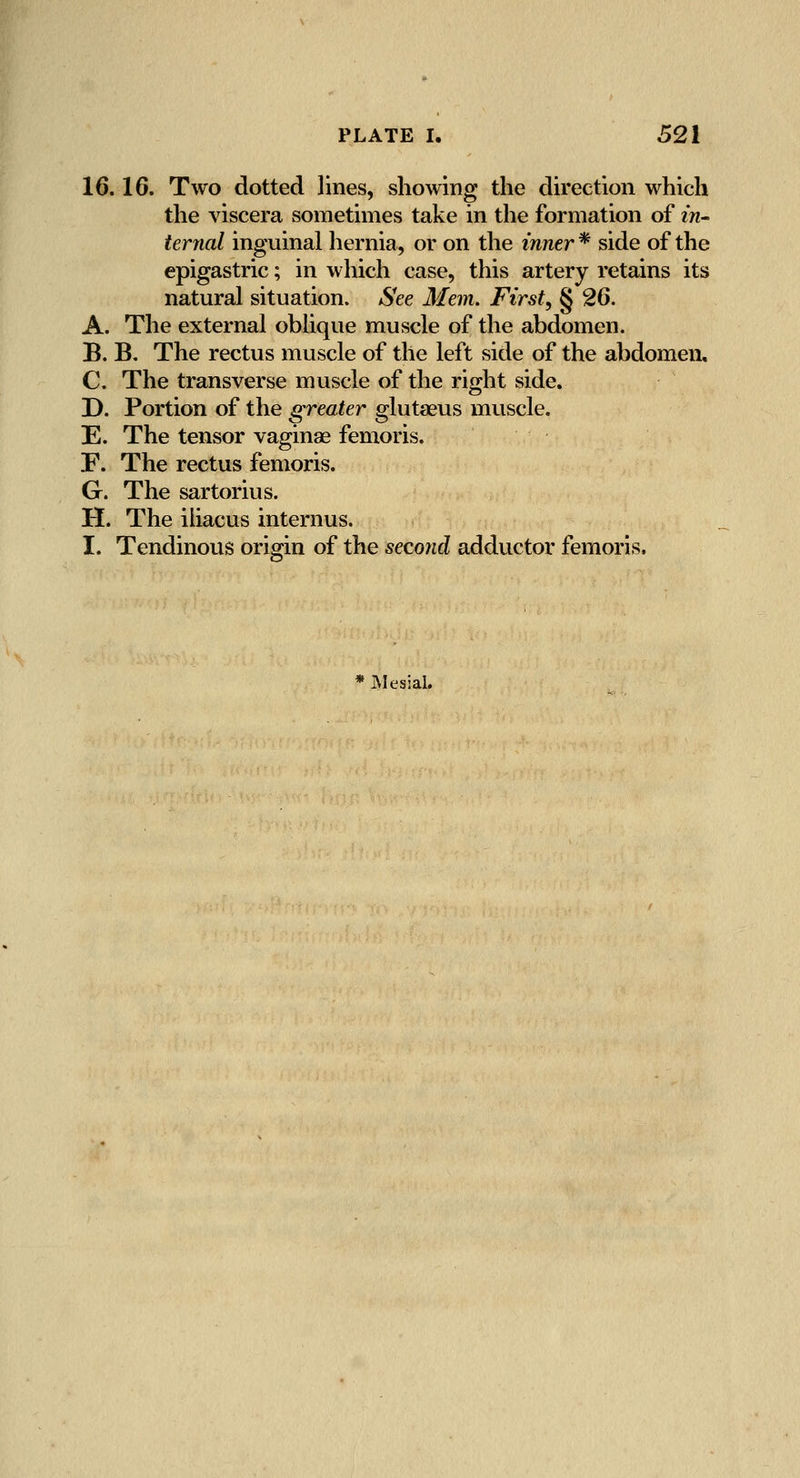 16.16. Two dotted lines, showing the direction which the viscera sometimes take in the formation of in- ternal inguinal hernia, or on the inner * side of the epigastric; in which case, this artery retains its natural situation. *S'ee Mem. First, § 26. A. The external oblique muscle of the abdomen. B. B, The rectus muscle of the left side of the abdomen, C. The transverse muscle of the right side, D. Portion of the greater glutaeus muscle. E. The tensor vaginae femoris. F. The rectus femoris. G. The sartorius. H. The ihacus internus. I. Tendinous origin of the second adductor femoris. Mesial.