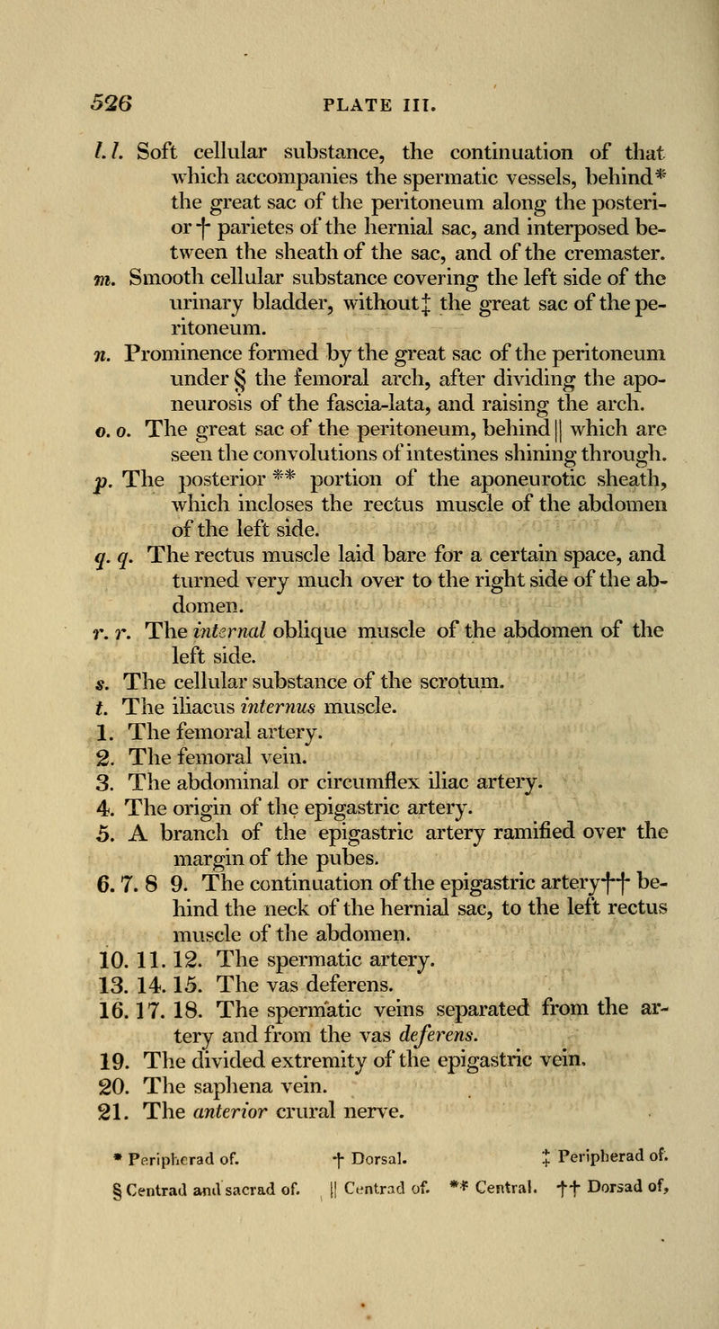 /./. Soft cellular substance, the continuation of that which accompanies the spermatic vessels, behind* the great sac of the peritoneum along the posteri- or -(- parietes of the hernial sac, and interposed be- tween the sheath of the sac, and of the cremaster. m. Smooth cellular substance covering the left side of the urinary bladder, without J the great sac of the pe- ritoneum. n. Prominence formed by the great sac of the peritoneum under § the femoral arch, after dividing the apo- neurosis of the fascia-lata, and raising the arch. 0. 0. The great sac of the peritoneum, behind || which are seen the convolutions of intestines shining through. p. The posterior ** portion of the aponeurotic sheath, which incloses the rectus muscle of the abdomen of the left side. q. q. The rectus muscle laid bare for a certain space, and turned very much over to the right side of the ab- domen. r. r. The iiiternal obhque muscle of the abdomen of the left side. s. The cellular substance of the scrotum, t. The iliacus internus muscle. 1. The femoral artery. 2. The femoral vein. 3. The abdominal or circumflex iliac artery. 4. The origin of the epigastric artery. 5. A branch of the epigastric artery ramified over the margin of the pubes. 6. 7. 8 9. The continuation of the epigastric arteryff be- hind the neck of the hernial sac, to the left rectus muscle of the abdomen. 10. 11.12. The spermatic artery. 13. 14.15. The vas deferens. 16.17. 18. The spermatic veins separated from the ar- tery and from the vas deferens. 19. The divided extremity of the epigastric vein, 20. The saphena vein. 21. The anterior crural nerve. » Perip?ierad of. f Dorsal. + Peripherad of. § Centrad and sacrad of. H Centrad of. ** Central, ft Dorsad of.