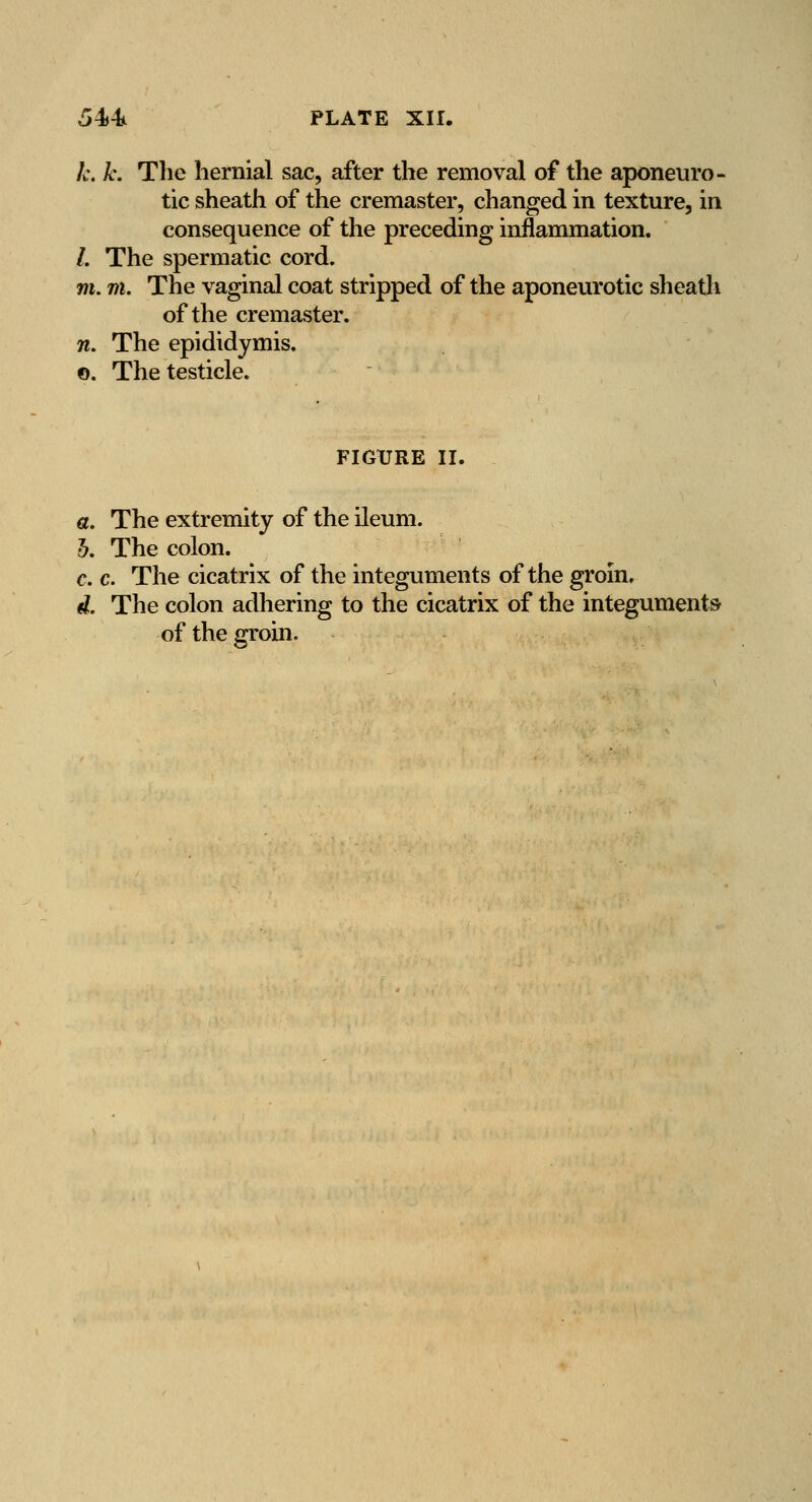 k, k. The hernial sac, after the removal of the aponeuro- tic sheath of the cremaster, changed in texture, in consequence of the preceding inflammation. /. The spermatic cord. m. m. The vaginal coat stripped of the aponeurotic sheatli of the cremaster. 71. The epididymis. ©. The testicle. FIG1URE II. a The extremity of the ileum. h. The colon. c. c. The cicatrix of the integuments of the groin. d. The colon adhering to the cicatrix of the integuments of the groin.