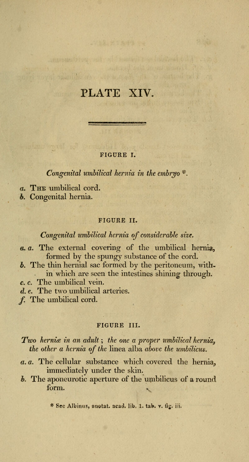 FIGURE I. Congenital umhilical hernia in the embryo *. a. The umbilical cord. h. Congenital hernia. FIGURE II. Congenital urnbilical hernia of considerable size. €L a. The external covering of the umbilical hernia, formed by the spungy substance of the cord. h. The thin hernial sac formed by the peritoneum, with- in which are seen the intestines shining through. c. c. The umbilical vein. d. e. The two umbilical arteries. f. The umbilical cord. FIGURE III. Two hernifE in an adult; the one a proper umbilical hernia^ the other a hernia of the linea alba above the umbilicus, a. a. The cellular substance which covered the hernia, immediately under the skin. h. The aponeurotic aperture of the ui;nbilicus of a round form. v^ * See Albinus, anotat. acad. lib, 1. tab. y. fij^. iii.