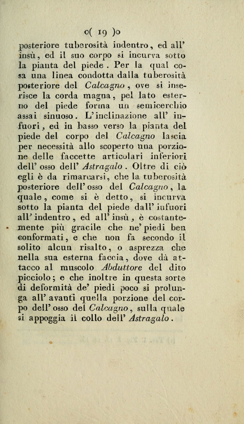 posteriore tuberosità indentro, ed all' insù, ed il suo corpo si incurva sotto la pianta del piede . Per la qual co- sa una linea condotta dalla tuberosità posteriore del Calcagno , ove si inse- risce la corda magna, pel lato ester- no del piede forma un semicerchio assai sinuoso. L'inclinazione alF in- fuori , ed in basso verso la pianta del piede del corpo del Calcagno lascia per necessità allo scoperto una porzio- ne delle faccette articolari inferiori dell' osso dell' Astragalo . Oltre di ciò egli è da rimarcarsi, che la tuberosità posteriore dell'osso del Calcagno, la quale, come si è detto, si incurva sotto la pianta del piede dall' infuori air indentro , ed all' insù , è costante- mente più gracile che ne' piedi ben conformati, e che non fa secondo il solito alcun risalto, o asprezza che nella sua esterna faccia, dove dà at- tacco al muscolo Abduttore del dito picciolo ; e che inoltre in questa sorte di deformità de' piedi poco si prolun- ga all' avanti quella porzione del cor- po dell'osso del Calcagno, sulla quale si appoggia ii collo dell' Astragalo.