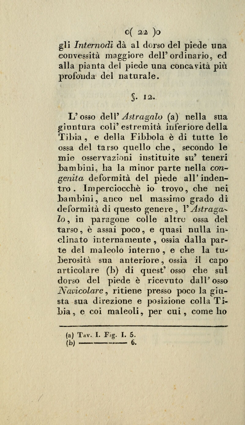 gli Intemodi dà al dorso del piede una convessità maggiore dell'ordinario, ed alla pianta del piede una concavità più profonda del naturale. §• 12. U osso dell9 Astragalo (a) nella sua giuntura coli9 estremità inferiore della Tibia, e della Fibbola è di tutte le ossa del tarso quello che, secondo le mie osservazioni instituite su' teneri bambini, ha la minor parte nella con-* genita deformità del piede all'inden- tro. Imperciocché io trovo, che nei [bambini, anco nel massimo grado di deformità di questo genere, V Astra ga-> lo, in paragone colle altre ossa del tarso, è assai poco, e quasi nulla in^ clinato internamente , ossia dalla par- te del maleolo interno , e che la tu- berosità sua anteriore, ossia il capo articolare (b) di quest' osso che sul dorso del piede è ricevuto dalPosso Navicolare, ritiene presso poco la giu- sta sua direzione e posizione colla Ti- bia, e coi maleoli, per cui, Cornelio (a) Tav. I. Fig. I. 5.