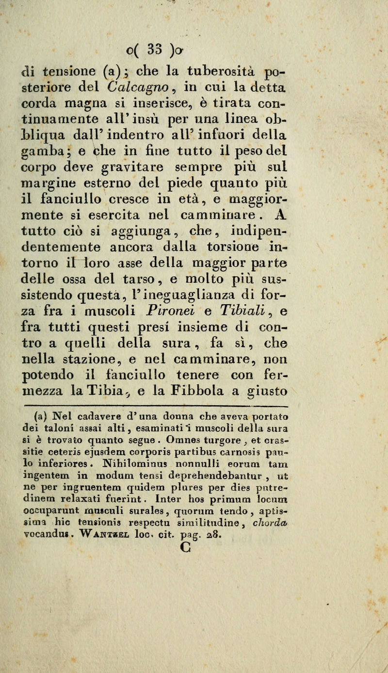 di tensione (a) ; che la tuberosità po- steriore del Calcagno , in cui la detta corda magna si inserisce, è tirata con- tinuamente ali'insù per una linea ob- bliqua dall' indentro all' infuori della gamba; e bhe in fine tutto il peso del corpo deve gravitare sempre più sul margine esterno del piede quanto più il fanciullo cresce in età, e maggior- mente si esercita nel camminare. A tutto ciò si aggiunga, che, indipen- dentemente ancora dalla torsione in- torno ilntoro asse della maggior parte delle ossa del tarso, e molto più sus- sistendo questa, Vineguaglianza di for- za fra i muscoli Pironei e Tibiali, e fra tutti questi presi insieme di con- tro a quelli della sura, fa sì, che nella stazione, e nel camminare, non potendo il fanciullo tenere con fer- mezza la Tibia% e la Fibbola a giusto (a) Nel cadavere d'una donna che aveva portato dei taloni assai alti, esaminatii muscoli della sura 8i è trovato quanto segue. Omnes turgore y et cras- sitie ceteris ejusdem corporis partibus carnosis pan- Io inferiores. Nihilominus nonnulli eorum tam ingentem in modum tensi deprehendebantur , ut ne per ingruentem quidem plures per dies pntre- dinem relaxati fnerint. Inter hos primum locuni occuparunt musculi surales, quorum tendo, aptis- sima hic tensionis respectu similitudine, chorda, vocandus. Wantbel loc cit. pag. a8. e