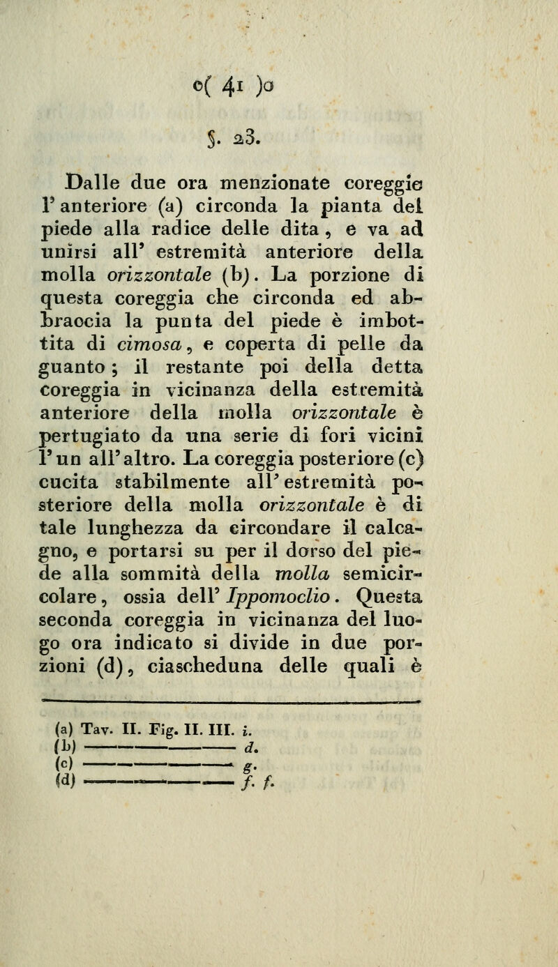 J. a3. Dalle due ora menzionate coreggia F anteriore (a) circonda la pianta dei piede alla radice delle dita , e va ad unirsi all' estremità anteriore della molla orizzontale (b). La porzione di questa coreggia che circonda ed ab- braccia la punta del piede è imbot- tita di cimosa, e coperta di pelle da guanto ; il restante poi della detta coreggia in vicinanza della estremità anteriore della molla orizzontale è pertugiato da una serie di fori vicini Pun all'altro. La coreggia posteriore (e) cucita stabilmente air estremità po-« steriore della molla orizzontale è di tale lunghezza da circondare il calca- gno5 e portarsi su per il dorso del pie- de alla sommità della molla semicir- colare , ossia dell5 Ippomoclio. Questa seconda coreggia in vicinanza del luo- go ora indicato si divide in due por- zioni (d)5 ciascheduna delle quali è (a) Tav. II. Fig. II. III. i. ih) d. (e) g. (d) - /. f.