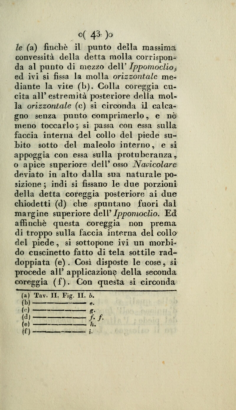 te fa) finché il punto della massima convessità della detta molla corrispon- da al punto di mezzo dell' Ippomoclio ^ ed ivi si fissa la molla orizzontale me- diante la vite (b). Colla coreggia cu- cita all'estremità posteriore della mol- la orizzontale (e) si circonda il calca- gno senza punto comprimerlo, e né meno toccarlo \ si passa con essa sulla faccia interna del collo del piede su- bito sotto del maleolo interno, e si appoggia con essa sulla protuberanza, o apice superiore dell9 osso Navicolare deviato in alto dalla sua naturale po- sizione ; indi si fissano le due porzioni della detta coreggia posteriore ai due chiodetti (d) che spuntano fuori dal margine superiore dell' Ippomoclio. Ed affinchè questa coreggia non prema di troppo sulla faccia interna del collo* del piede, si sottopone ivi un morbi- do cuscinetto fatto di tela sottile rad- doppiata (e) . Così disposte le cose 5 si procede all' applicazion^ della seconda coreggia (f). Con questa si circonda (a) Tav. II. Fig. II. b. * (b) e. (n) g, (d) /. /. (e) h. |f)—  *