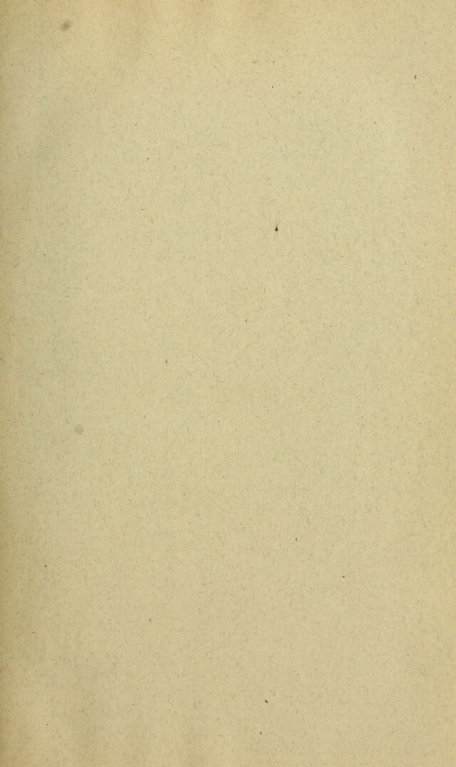 digitised image 3