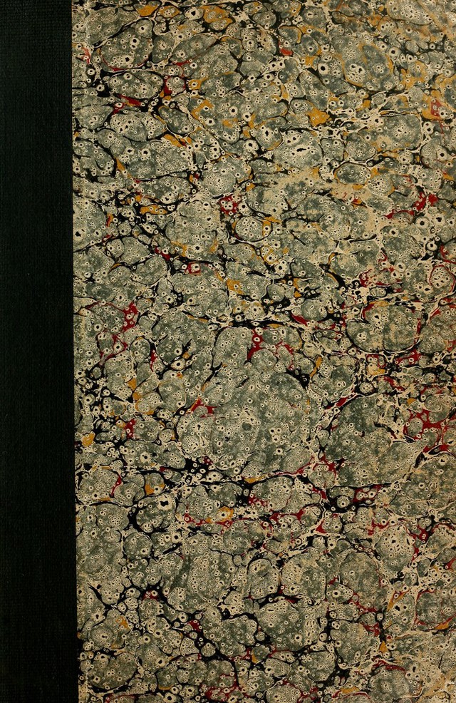 digitised image 1