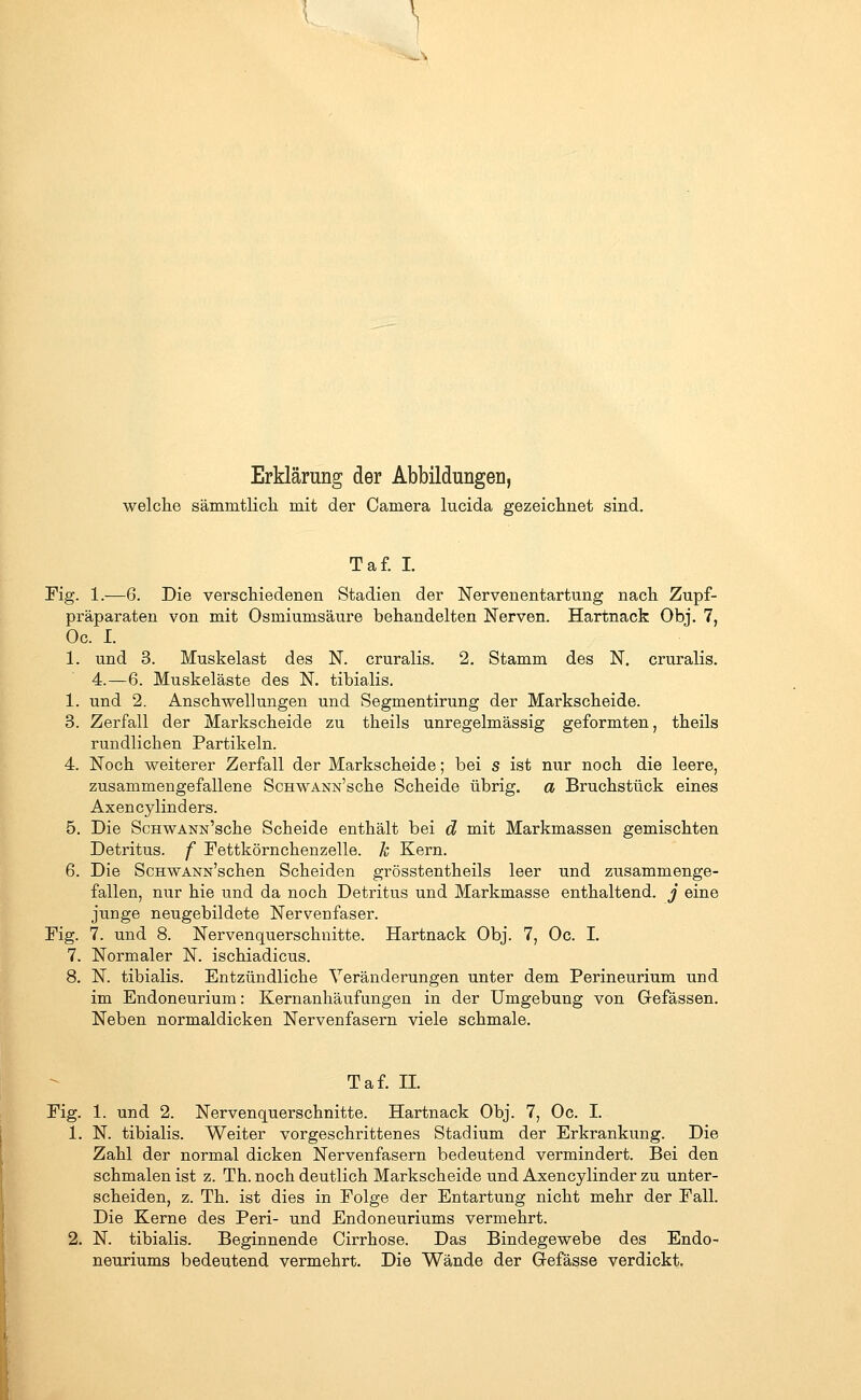 Erklärung der Abbildungen, welche sämmtlich mit der Camera lucida gezeiclinet sind. Taf. I. Fig. 1.—6. Die verscliiedenen Stadien der Nervenentartung nachi Zupf- präparaten von mit Osmiumsäure behandelten Nerven. Hartnack Obj. 7, Oc. I. 1. und 3. Muskelast des N. cruralis. 2. Stamm des N. cruralis. 4.—6. Muskeläste des N. tibialis. 1. und 2. Anschwellungen und Segmentirung der Markscheide. 3. Zerfall der Markscheide zu theils unregelmässig geformten, theils rundlichen Partikeln. 4. Noch weiterer Zerfall der Markscheide; bei s ist nur noch die leere, zusammengefallene ScHWANN'sche Scheide übrig, a Bruchstück eines Axencylinders. 5. Die ScHWANN'sche Scheide enthält bei d mit Markmassen gemischten Detritus, f Fettkörnchenzelle, k Kern. 6. Die ScHWANN'schen Scheiden grösstentheils leer und zusammenge- fallen, nur hie und da noch Detritus und Markmasse enthaltend, j eine junge neugebildete Nervenfaser. Fig. 7. und 8. Nervenquerschnitte. Hartnack Obj. 7, Oc. I. 7. Normaler N. ischiadicus. 8. N. tibialis. Entzündliche Veränderungen unter dem Perineurium und im Endoneurium: Kernanhäufungen in der Umgebung von Gefässen. Neben normaldicken Nervenfasern viele schmale. Taf. IL Fig. 1. und 2. Nervenquerschnitte. Hartnack Obj. 7, Oc. I. 1. N. tibialis. Weiter vorgeschrittenes Stadium der Erkrankung. Die Zahl der normal dicken Nervenfasern bedeutend vermindert. Bei den schmalen ist z. Th. noch deutlich Markscheide und Axencylinder zu unter- scheiden, z. Th. ist dies in Folge der Entartung nicht mehr der Fall. Die Kerne des Peri- und Endoneuriums vermehrt. 2. N. tibialis. Beginnende Cirrhose. Das Bindegewebe des Endo- neuriums bedeutend vermehrt. Die Wände der G-efässe verdickt.