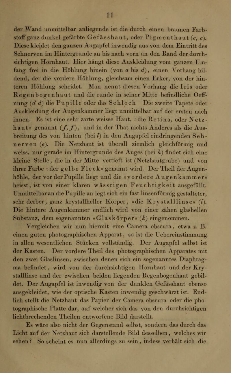 der Wand unmittelbar anliegende ist die durch einen braunen Farb- stoff ganz dunkel gefärbte Gefässhaut, oder Pigmenthaut (c, c). Diese kleidet den ganzen Augapfel inwendig aus von dem Eintritt des Sehnerven im Hintergrunde an bis nach vorn an den Rand der durch- sichtigen Hornhaut. Hier hängt diese Auskleidung vom ganzen Um- fang frei in die Höhlung hinein (von a bis d), einen Vorhang bil- dend, der die vordere Höhlung, gleichsam einen Erker, von der hin- teren Höhlung scheidet. Man nennt diesen Vorhang die Iris oder Regenbogenhaut und die runde in seiner Mitte befindliche Oeff- nung (d d) die Pupille oder das Sehloch Die zweite Tapete oder Auskleidung der Augenkammer liegt unmittelbar auf der ersten nach innen. Es ist eine sehr zarte weisse Haut, »die Retina, oder Netz- hauta genannt (f,f), und in der That nichts Anderes als die Aus- breitung des von hinten (bei /) in den Augapfel eindringenden Seh- nerven (e). Die Netzhaut ist überall ziemlich gleichförmig und weiss, nur gerade im Hintergrunde des Auges (bei h) findet sich eine kleine Stelle, die in der Mitte vertieft ist (Netzhautgrube) und von ihrer Farbe » der gelbe Fleck« genannt wird. Der Theil der Augen- höhle, der vor der Pupille liegt und die »vordere Augenkammer« heisst, ist von einer klaren wässrigen Feuchtigkeit ausgefüllt. Unmittelbar an die Pupille an legt sich ein fast linsenförmig gestalteter, sehr derber, ganz krystallheller Körper, »die Krystalllinse« (i). Die hintere Augenkammer endlich wird von einer zähen glashellen Substanz, dem sogenannten »Glaskörper« (k) eingenommen. Vergleichen wir nun hiermit eine Camera obscura, etwa z. B. einen guten photographischen Apparat, so ist die Uebereinstimmung in allen wesentlichen Stücken vollständig. Der Augapfel selbst ist der Kasten. Der vordere Theil des photographischen Apparates mit den zwei Glaslinsen, zwischen denen sich ein sogenanntes Diaphrag- ma befindet, wird von der durchsichtigen Hornhaut und der Kry- stalllinsc und der zwischen beiden liegenden Regenbogenhaut gebil- det. Der Augapfel ist inwendig von der dunklen Gefässhaut ebenso ausgekleidet, wie der optische Kasten inwendig geschwärzt ist. End- lich stellt die Netzhaut das Papier der Camera obscura oder die pho- tographische Platte dar, auf welcher sich das von den durchsichtigen lichtbrechenden Theilen entworfene Bild darstellt. Es wäre also nicht der Gegenstand selbst, sondern das durch das Licht auf der Netzhaut sich darstellende Bild desselben, welches wir sehen ? So scheint es nun allerdings zu sein, indess verhält sich die