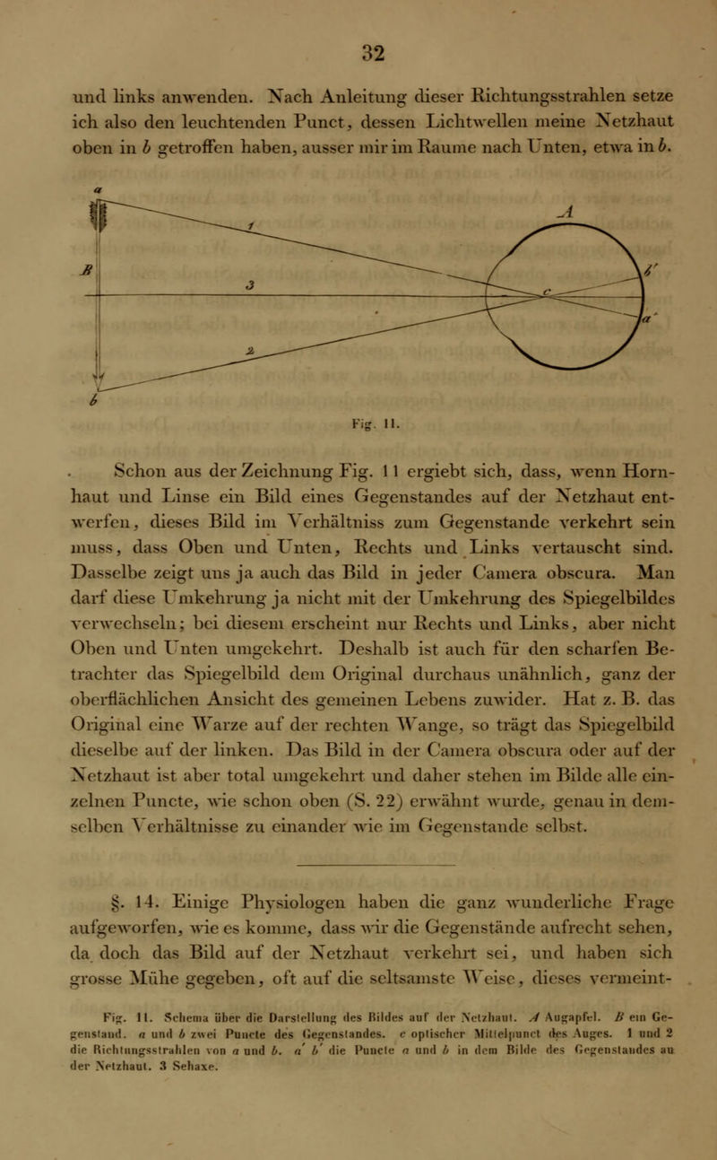 und links anwenden. Nach Anleitung dieser Richtungsstrahlen setze ich also den leuchtenden Punct, dessen Lichtwellen meine Netzhaut oben in b getroffen haben, ausser mir im Räume nach I nten, etwa \\\b. Fig. 1 Schon aus der Zeichnung Fig. 1 1 ergiebt sich, dass, wenn Horn- haut und Linse ein Bild eines Gegenstandes auf der Netzhaut ent- werfen, dieses Bild im Verhältniss zum Gegenstande verkehrt sein muss, dass Oben und Unten, Rechts und Links vertauscht sind. Dasselbe zeigt uns ja auch das Bild in jeder Camera obscura. Man darf diese Umkehrung ja nicht mit der Umkehrung des Spiegelbildes verwechseln: bei diesem erscheint nur Rechts und Links, aber nicht Oben und Unten umgekehrt. Deshalb ist auch für den scharfen Be- trachter das Spiegelbild dem Original durchaus unähnlich, ganz der oberflächlichen Ansicht des gemeinen Lebens zuwider. Hat z. B. das Original eine Warze auf der rechten Wange3 so trägt das Spiegelbild dieselbe auf der linken. Das Bild in der Camera obscura oder auf der Netzhaut ist aber total umgekehrt und daher stehen im Bilde alle ein- zelnen Puncto, wie schon oben (S. 22) erwähnt wurde, genau in dem- selben Verhältnisse zu einander wie im Gegenstande selbst. ?:. 14. Einige Physiologen haben die ganz wunderliche Frage aufgeworfen, wie es komme, dass wir die Gegenstände aufrecht sehen, da doch das Bild auf der Netzhaut verkehrt sei. und haben sich grosse Mühe gegeben, oft auf die seltsamste Weise, dieses vermeint- Fig. II. Schema über die Darstellung des Bildes auf der Netzhaut. A Augapfel. B ein Ge- genstand, a und b zwei Puncte des Gegenstandes, t oplisrhcr Miliel|iunct des Auges. 1 und 2 die Richtiingsstrahleu von n und b. a b' die Puucle n und b in dem Bilde des Gegenstandes au der Netzhaut. 3 Sehaxe.