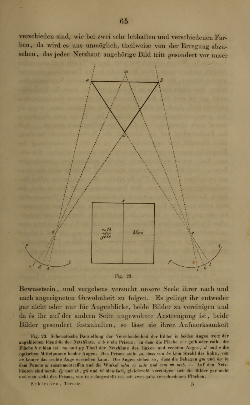 verschieden sind, wie bei zwei sehr lebhaften und verschiedenen Far- ben , da wird es uns unmöglich, theilweise von der Erregung abzu- sehen, das jeder Netzhaut angehörige Bild tritt gesondert vor unser 4? r-o t/i oder j/eU . Kau v Fig. 23. Bewusstsein, und vergebens versucht unsere Seele ihrer nach und nach angeeigneten Gewohnheit zu folgen. Es gelingt ihr entweder gar nicht oder nur für Augenblicke, beide Bilder zu vereinigen und da es ihr auf der andern Seite ungewohnte Anstrengung ist, beide Bilder gesondert festzuhalten, so lässt sie ihrer Aufmerksamkeit Fig. 23. Schemalische Darstellung der Verschiedenheit der Bilder in beiden Augen trotz der an^ebliclieii Identität der Netzhäute, a b e ein Prisma , an dein die Fläche a c gelb oder reih, die Fläche b e blau ist. no und pg Tbeil der Netzhäute des linken und rechten Auges, d und e die optischen Miltelpuncle beider Augen. Das Prisma steht so, dass von bc kein Strahl das linke, von <ic keiner das rechte Auge erreichen kann. Die Augen sieben so, dass die Schalen gm und km in dem Punete m zusammentreffen und die Winkel <i<hn = mdc und cem = mcb. — Auf den Netz- häuten sind somit fg und ik. ffh und kl identisch, gleichwohl vereinigen sieb die Bilder gar nicht und mau siebt das Prisma, wie in s dargestellt isl, mit zwei ganz verschiedenen Flächen. Schieden . Theorie. 5