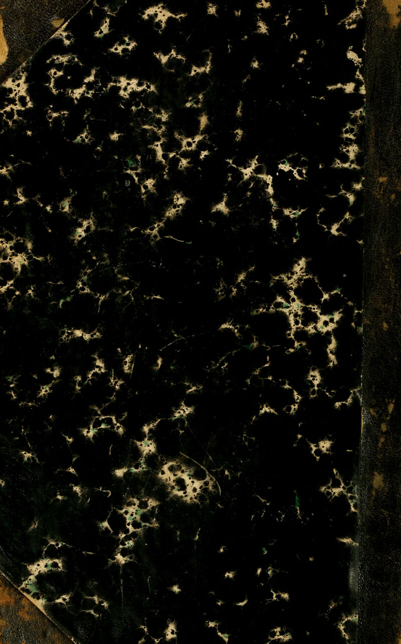 ■•'•■;; / v ~*#4 jta* .- ^m i ^ ' i*%£ V ^. ^■,v1n- -c -*