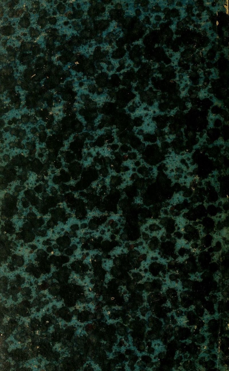 '•«■^ .^-.»x' w^.,^1»^^ » - 4.