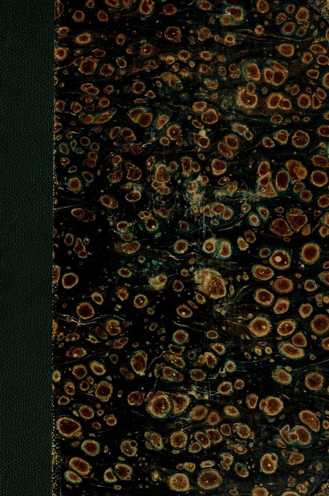 digitised image 1