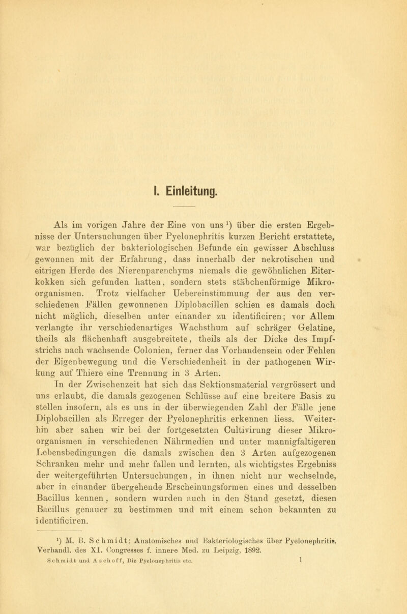 Als im vorigen Jahre der Eine von uns 2) über die ersten Ergeb- nisse der Untersuchungen über Pyelonephritis kurzen Bericht erstattete, war bezüglich der bakteriologischen Befunde ein gewisser Abschluss gewonnen mit der Erfahrung, dass innerhalb der nekrotischen und eitrigen Herde des Nierenparenchyms niemals die gewöhnlichen Eiter- kokken sich gefunden hatten, sondern stets stäbchenförmige Mikro- organismen. Trotz vielfacher Uebereinstimmung der aus den ver- schiedenen Fällen gewonnenen Diplobacillen schien es damals doch nicht möglich, dieselben unter einander zu identificiren; vor Allem verlangte ihr verschiedenartiges Wachsthum auf schräger Gelatine, theils als flächenhaft ausgebreitete, theils als der Dicke des Impf- strichs nach wachsende Colonien, ferner das Vorhandensein oder Fehlen der Eigenbewegung und die Verschiedenheit in der pathogenen Wir- kung auf Thiere eine Trennung in 3 Arten. In der Zwischenzeit hat sich das Sektionsmaterial vergrössert und uns erlaubt, die damals gezogenen Schlüsse auf eine breitere Basis zu stellen insofern, als es uns in der überwiegenden Zahl der Fälle jene Diplobacillen als Erreger der Pyelonephritis erkennen liess. Weiter- hin aber sahen wir bei der fortgesetzten Cultivirung dieser Mikro- organismen in verschiedenen Nährmeclien und unter mannigfaltigeren Lebensbedingungen die damals zwischen den 3 Arten aufgezogenen Schranken mehr und mehr fallen und lernten, als wichtigstes Ergebniss der weitergeführten Untersuchungen, in ihnen nicht nur wechselnde, aber in einander übergehende Erscheinungsformen eines und desselben Bacillus kennen, sondern wurden auch in den Stand gesetzt, diesen Bacillus genauer zu bestimmen und mit einem schon bekannten zu identificiren. *) M. B. Schmidt: Anatomisches und Bakteriologisches über Pyelonephritis. Verhandl. des XI. Congresses f. innere Med. zu Leipzig, 1892. Schmidt und Aschoff, Die Pyelonephritis etc. I