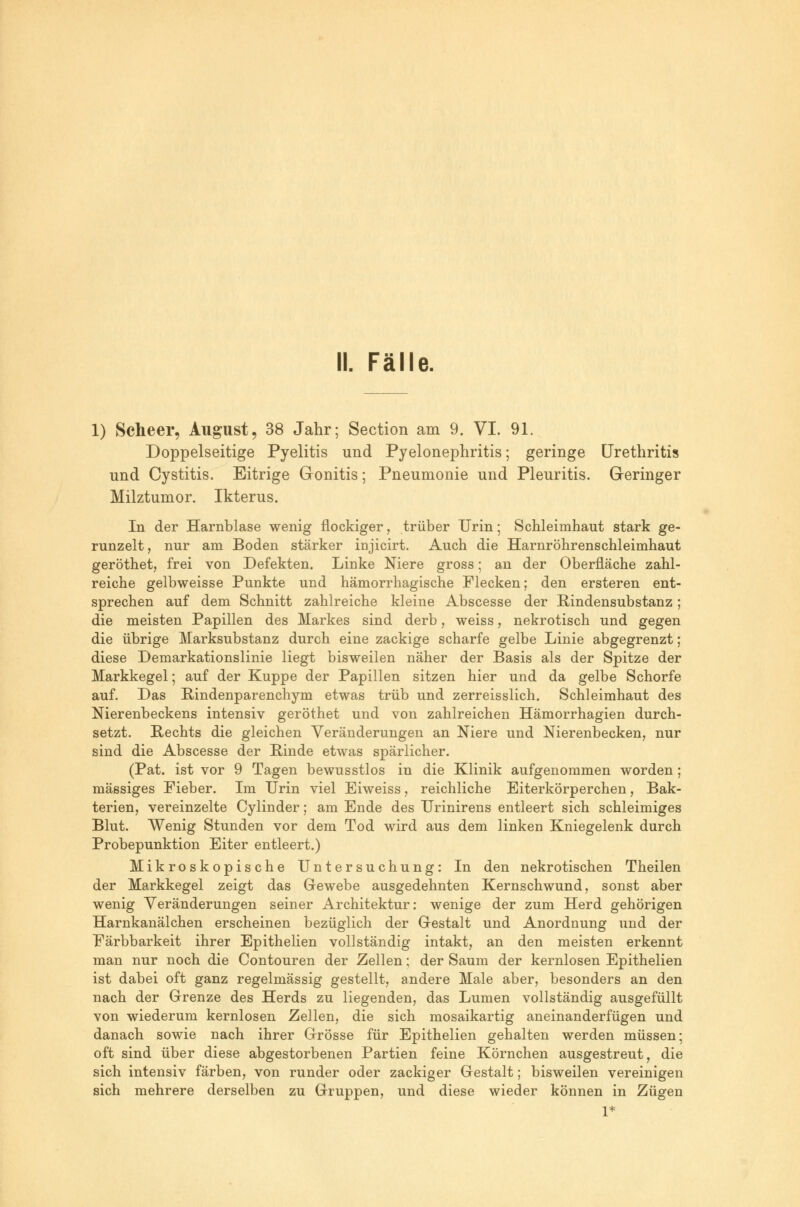 1) Scheer, August, 38 Jahr; Section am 9. VI. 91. Doppelseitige Pyelitis und Pyelonephritis; geringe Urethritis und Cystitis. Eitrige Gronitis; Pneumonie und Pleuritis. Geringer Milztumor. Ikterus. In der Harnblase wenig flockiger, trüber Urin; Schleimhaut stark ge- runzelt, nur am Boden stärker injicirt. Auch die Harnröhrenschleimhaut geröthet, frei von Defekten. Linke Niere gross; an der Oberfläche zahl- reiche gelbweisse Punkte und hämorrhagische Flecken; den ersteren ent- sprechen auf dem Schnitt zahlreiche kleine Abscesse der Kindensubstanz ; die meisten Papillen des Markes sind derb, weiss, nekrotisch und gegen die übrige Marksubstanz durch eine zackige scharfe gelbe Linie abgegrenzt; diese Demarkationslinie liegt bisweilen näher der Basis als der Spitze der Markkegel; auf der Kuppe der Papillen sitzen hier und da gelbe Schorfe auf. Das Rindenparenchym etwas trüb und zerreisslich. Schleimhaut des Nierenbeckens intensiv geröthet und von zahlreichen Hämorrhagien durch- setzt. Rechts die gleichen Veränderungen an Niere und Nierenbecken, nur sind die Abscesse der Rinde etwas spärlicher. (Pat. ist vor 9 Tagen bewusstlos in die Klinik aufgenommen worden; massiges Fieber. Im Urin viel Eiweiss, reichliche Eiterkörperchen, Bak- terien, vereinzelte Cylinder; am Ende des Urinirens entleert sich schleimiges Blut. Wenig Stunden vor dem Tod wird aus dem linken Kniegelenk durch Probepunktion Eiter entleert.) Mikroskopische Untersuchung: In den nekrotischen Theilen der Markkegel zeigt das Gewebe ausgedehnten Kernschwund, sonst aber wenig Veränderungen seiner Architektur: wenige der zum Herd gehörigen Harnkanälchen erscheinen bezüglich der Gestalt und Anordnung und der Färbbarkeit ihrer Epithelien vollständig intakt, an den meisten erkennt man nur noch die Contouren der Zellen; der Saum der kernlosen Epithelien ist dabei oft ganz regelmässig gestellt, andere Male aber, besonders an den nach der Grenze des Herds zu liegenden, das Lumen vollständig ausgefüllt von wiederum kernlosen Zellen, die sich mosaikartig aneinanderfügen und danach sowie nach ihrer Grösse für Epithelien gehalten werden müssen; oft sind über diese abgestorbenen Partien feine Körnchen ausgestreut, die sich intensiv färben, von runder oder zackiger Gestalt; bisweilen vereinigen sich mehrere derselben zu Gruppen, und diese wieder können in Zügen