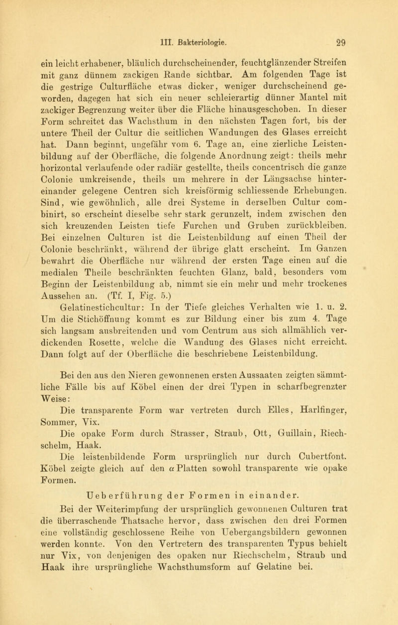 ein leicht erhabener, bläulich durchscheinender, feuchtglänzender Streifen mit ganz dünnem zackigen Rande sichtbar. Am folgenden Tage ist die gestrige Culturfläche etwas dicker, weniger durchscheinend ge- worden, dagegen hat sich ein neuer schleierartig dünner Mantel mit zackiger Begrenzung weiter über die Fläche hinausgeschoben. In dieser Form schreitet das Wachsthum in den nächsten Tagen fort, bis der untere Theil der Cultur die seitlichen Wandungen des Glases erreicht hat. Dann beginnt, ungefähr vom 6. Tage an, eine zierliche Leisten- bildung auf der Oberfläche, die folgende Anordnung zeigt: theils mehr horizontal verlaufende oder radiär gestellte, theils concentrisch die ganze Colonie umkreisende, theils um mehrere in der Längsachse hinter- einander gelegene Centren sich kreisförmig schliessende Erhebungen. Sind, wie gewöhnlich, alle drei Systeme in derselben Cultur com- binirt, so erscheint dieselbe sehr stark gerunzelt, indem zwischen den sich kreuzenden Leisten tiefe Furchen und Gruben zurückbleiben. Bei einzelnen Culturen ist die Leistenbildung auf einen Theil der Colonie beschränkt, während der übrige glatt erscheint. Im Ganzen bewahrt die Oberfläche nur während der ersten Tage einen auf die medialen Theile beschränkten feuchten Glanz, bald, besonders vom Beginn der Leistenbildung ab, nimmt sie ein mehr und mehr trockenes Aussehen an. (Tf. I, Fig. 5.) Gelatinestichcultur: In der Tiefe gleiches Verhalten wie 1. u. 2. Um die Stichöffnung kommt es zur Bildung einer bis zum 4. Tage sich langsam ausbreitenden und vom Centrum aus sich allmählich ver- dickenden Rosette, welche die Wandung des Glases nicht erreicht. Dann folgt auf der Oberfläche die beschriebene Leistenbildung. Bei den aus den Nieren gewonnenen ersten Aussaaten zeigten sämmt- liche Fälle bis auf Köbel einen der drei Typen in scharfbegrenzter Weise: Die transparente Form war vertreten durch Elles, Harlfinger, Sommer, Vix. Die opake Form durch Strasser, Straub, Ott, Guillain, Riech- schelm, Haak. Die leistenbildende Form ursprünglich nur durch Cubertfont. Köbel zeigte gleich auf den cc Platten sowohl transparente wie opake Formen. Ueb erführung der Formen in einander. Bei der Weiterimpfung der ursprünglich gewonnenen Culturen trat die überraschende Thatsache hervor, dass zwischen den drei Formen eine vollständig geschlossene Reihe von Uebergangsbildern gewonnen werden konnte. Von den Vertretern des transparenten Typus behielt nur Vix, von denjenigen des opaken nur Riechschelm, Straub und Haak ihre ursprüngliche Wachsthumsform auf Gelatine bei.