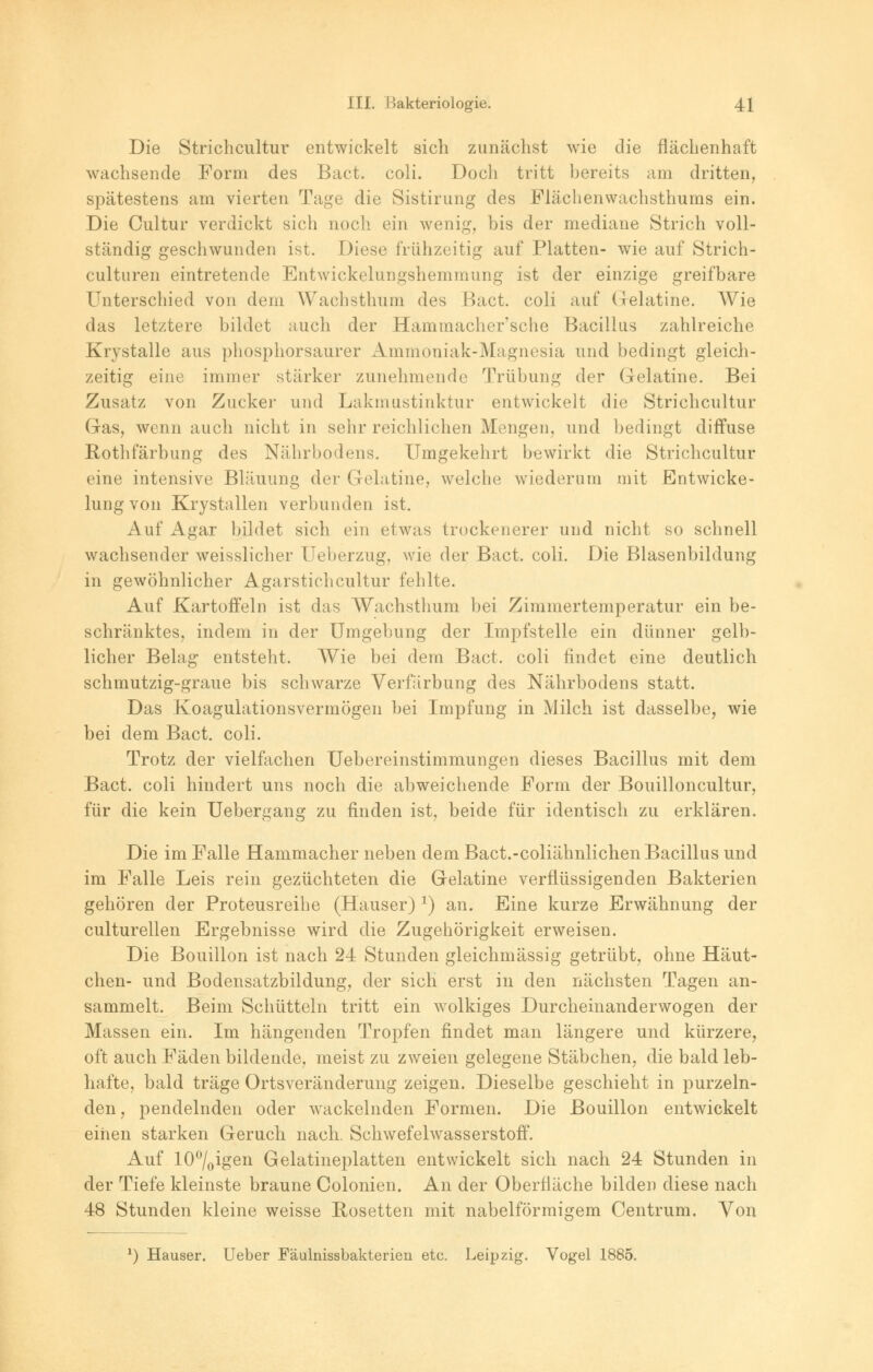 Die Strichcultur entwickelt sich zunächst wie die flächenhaft wachsende Form des Bact. coli. Doch tritt bereits am dritten, spätestens am vierten Tage die Sistirung des Flächenwachsthums ein. Die Cultur verdickt sich noch ein wenig, bis der mediane Strich voll- ständig geschwunden ist. Diese frühzeitig auf Platten- wie auf Strich- culturen eintretende Entwickelungshemmung ist der einzige greifbare Unterschied von dem Wachsthum des F>act. coli auf Gelatine. Wie das letztere bildet auch der Hammacher'sche Bacillus zahlreiche Krystalle aus phosphorsaurer Ammoniak-Magnesia und bedingt gleich- zeitig eine immer stärker zunehmende Trübung der Gelatine. Bei Zusatz von Zucker und Lakmustinktur entwickelt die Strichcultur Gas, wenn auch nicht in sehr reichlichen Mengen, und bedingt diffuse Rothfärbung des Nährbodens. Umgekehrt bewirkt die Strichcultur eine intensive Bläuung der Gelatine, welche wiederum mit Entwicke- lungvon Krystallen verbunden ist. Auf Agar bildet sich ein etwas trockenerer und nicht so schnell wachsender weisslicher Ueberzug, wie der Bact. coli. Die Blasenbildung in gewöhnlicher Agarstichcultur fehlte. Auf Kartoffeln ist das Wachsthum bei Zimmertemperatur ein be- schränktes, indem in der Umgebung der Impfstelle ein dünner gelb- licher Belag entsteht. Wie bei dem Bact. coli findet eine deutlich schmutzig-graue bis schwarze Verfärbung des Nährbodens statt. Das Koagulationsvermögen bei Impfung in Milch ist dasselbe, wie bei dem Bact. coli. Trotz der vielfachen Uebereinstimmungen dieses Bacillus mit dem Bact. coli hindert uns noch die abweichende Form der Bouilloncultur, für die kein Uebere?an<? zu finden ist, beide für identisch zu erklären. Die im Falle Hammacher neben dem Bact.-coliähnlichen Bacillus und im Falle Leis rein gezüchteten die Gelatine verflüssigenden Bakterien gehören der Proteusreihe (Hauser) *) an. Eine kurze Erwähnung der culturellen Ergebnisse wird die Zugehörigkeit erweisen. Die Bouillon ist nach 24 Stunden gleichmässig getrübt, ohne Häut- chen- und Bodensatzbildung, der sich erst in den nächsten Tagen an- sammelt. Beim Schütteln tritt ein wolkiges Durcheinanderwogen der Massen ein. Im hängenden Tropfen findet man längere und kürzere, oft auch Fäden bildende, meist zu zweien gelegene Stäbchen, die bald leb- hafte, bald träge Ortsveränderung zeigen. Dieselbe geschieht in purzeln- den, pendelnden oder wackelnden Formen. Die Bouillon entwickelt einen starken Geruch nach. Schwefelwasserstoff. Auf 10°/0igen Gelatineplatten entwickelt sich nach 24 Stunden in der Tiefe kleinste braune Colonien. An der Oberfläche bilden diese nach 48 Stunden kleine weisse Rosetten mit nabeiförmigem Centrum. Von *) Hauser. Ueber Fäulnissbakterien etc. Leipzig. Vogel 1885.